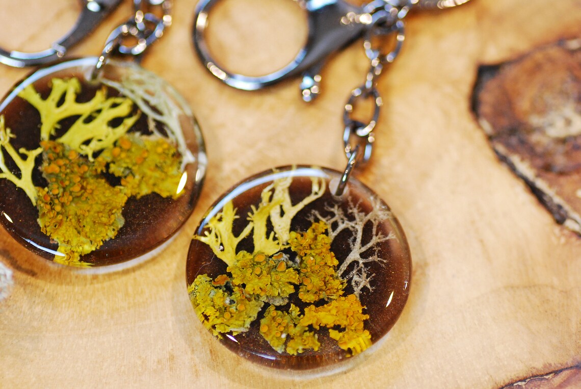 Botanical Resin Bag Charm - Lichen Forest Keychain, photo 5