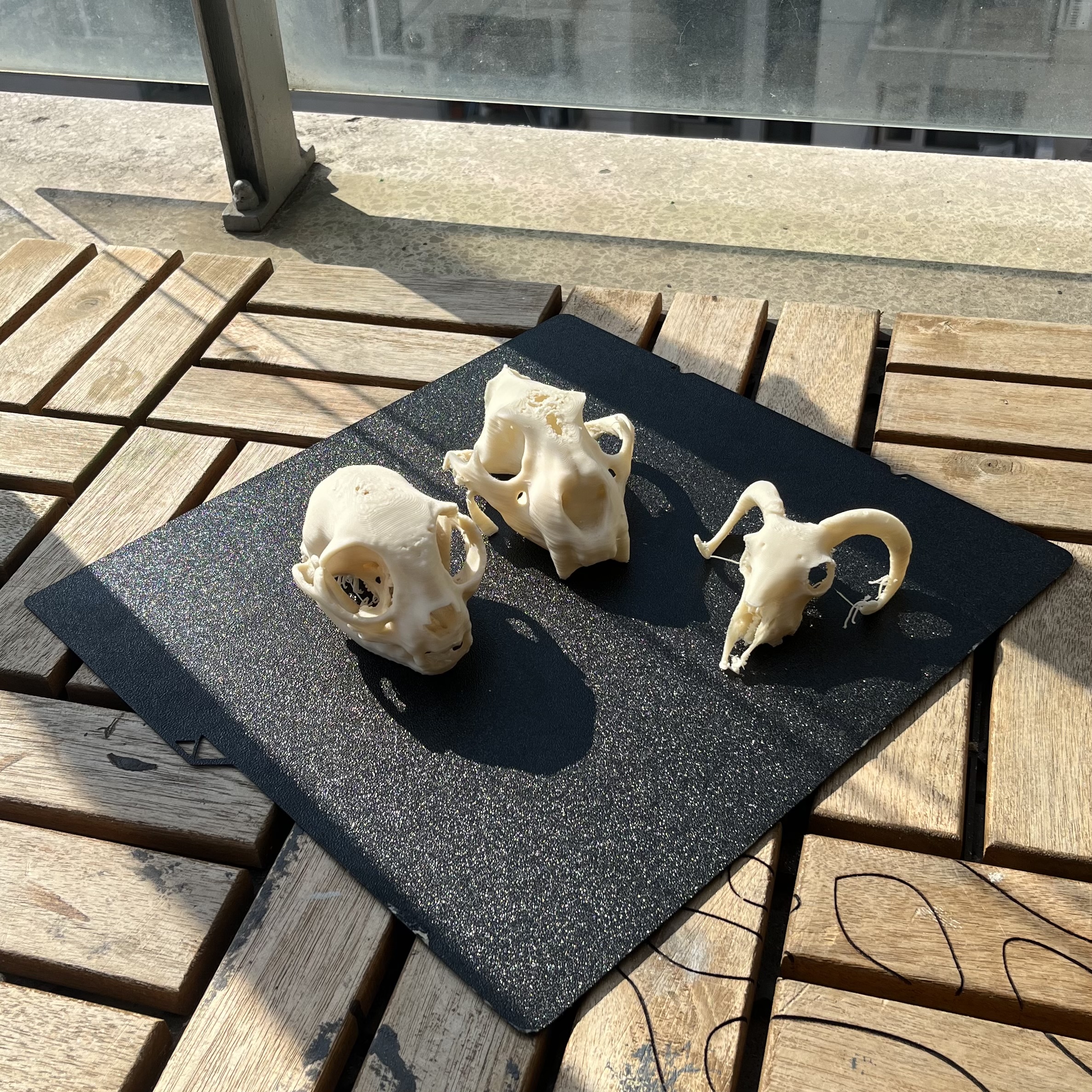 Biodegradable Terrarium Decorations made from PHA