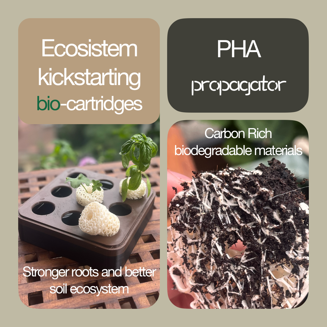 PHA Propagator & Planter Nursery
