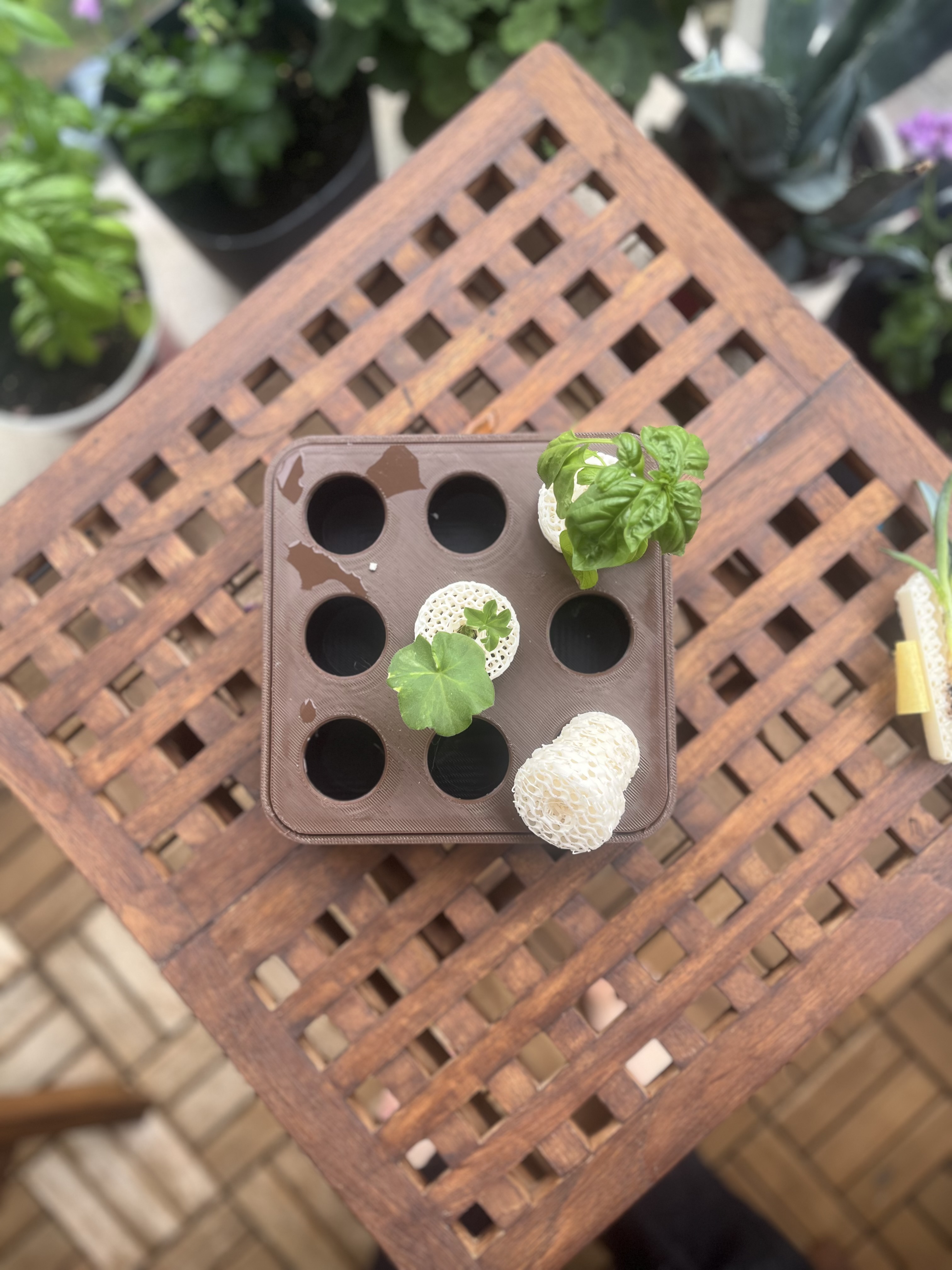 PHA Propagator & Planter Nursery, photo 3