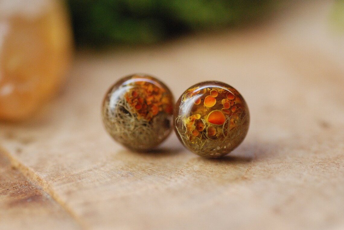 Botanical Resin Earrings With Orange Lichen On Silver Studs, photo 2