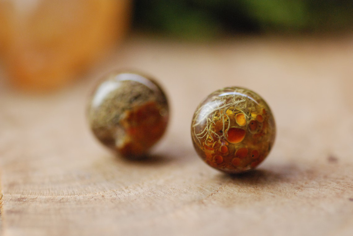 Botanical Resin Earrings With Orange Lichen On Silver Studs