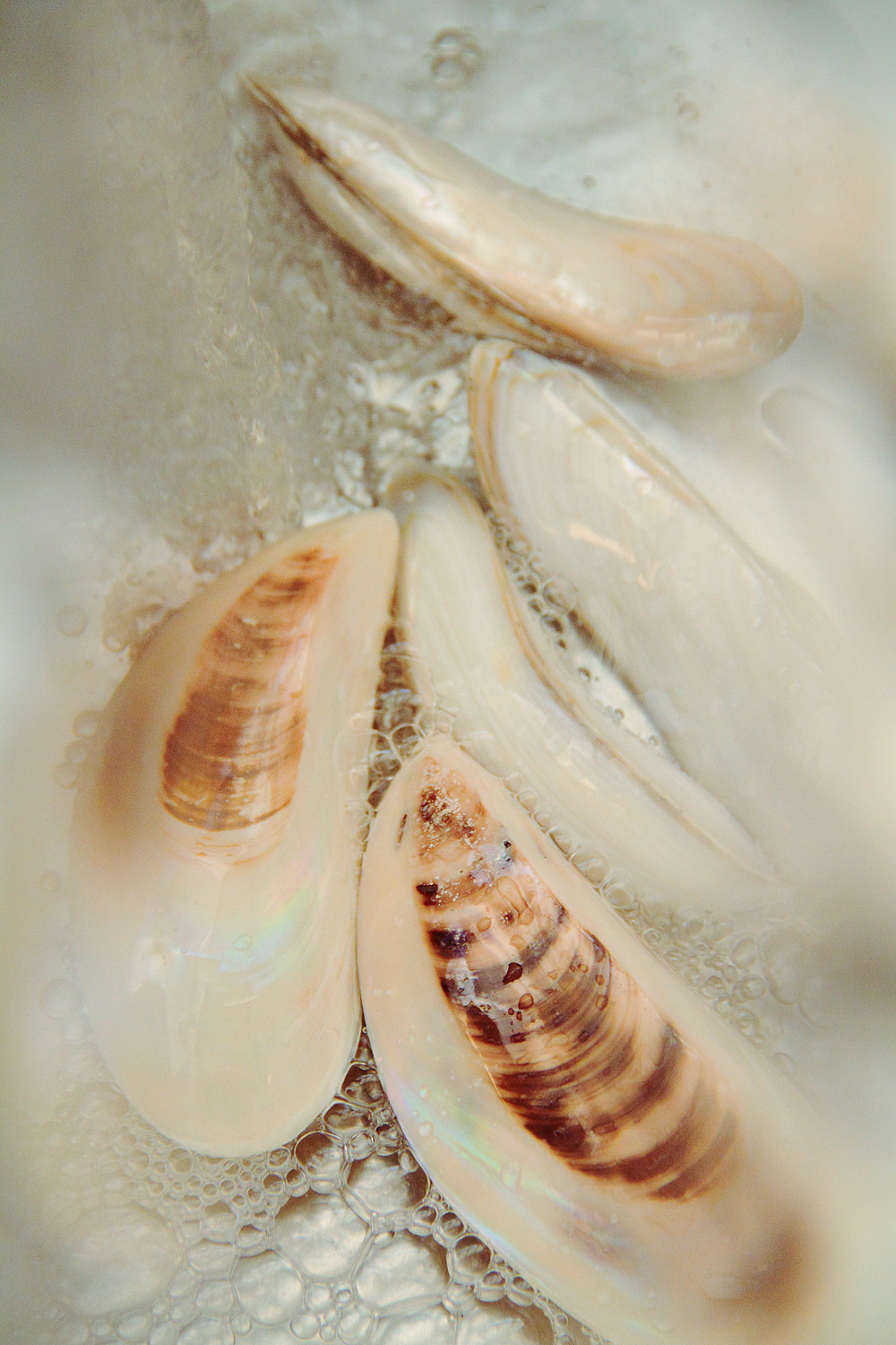 Natural Nacre Shell Statement Necklace  | One-of-a-Kind, photo 5