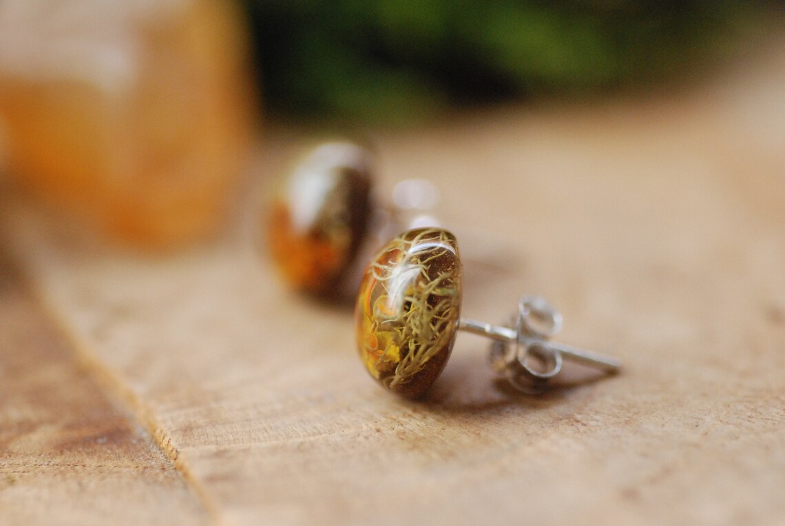 Botanical Resin Earrings With Orange Lichen On Silver Studs, photo 4