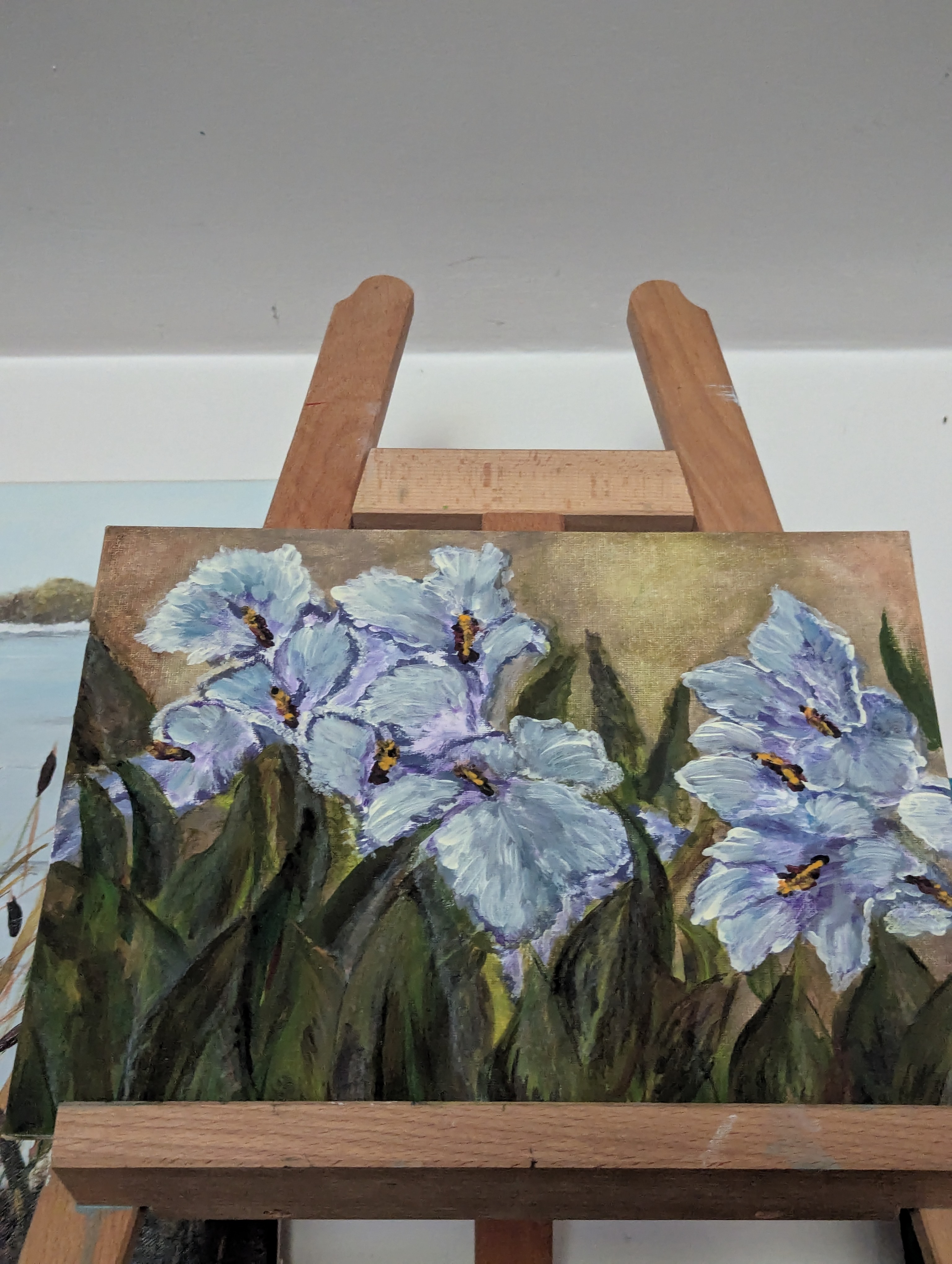 Flowers of irises