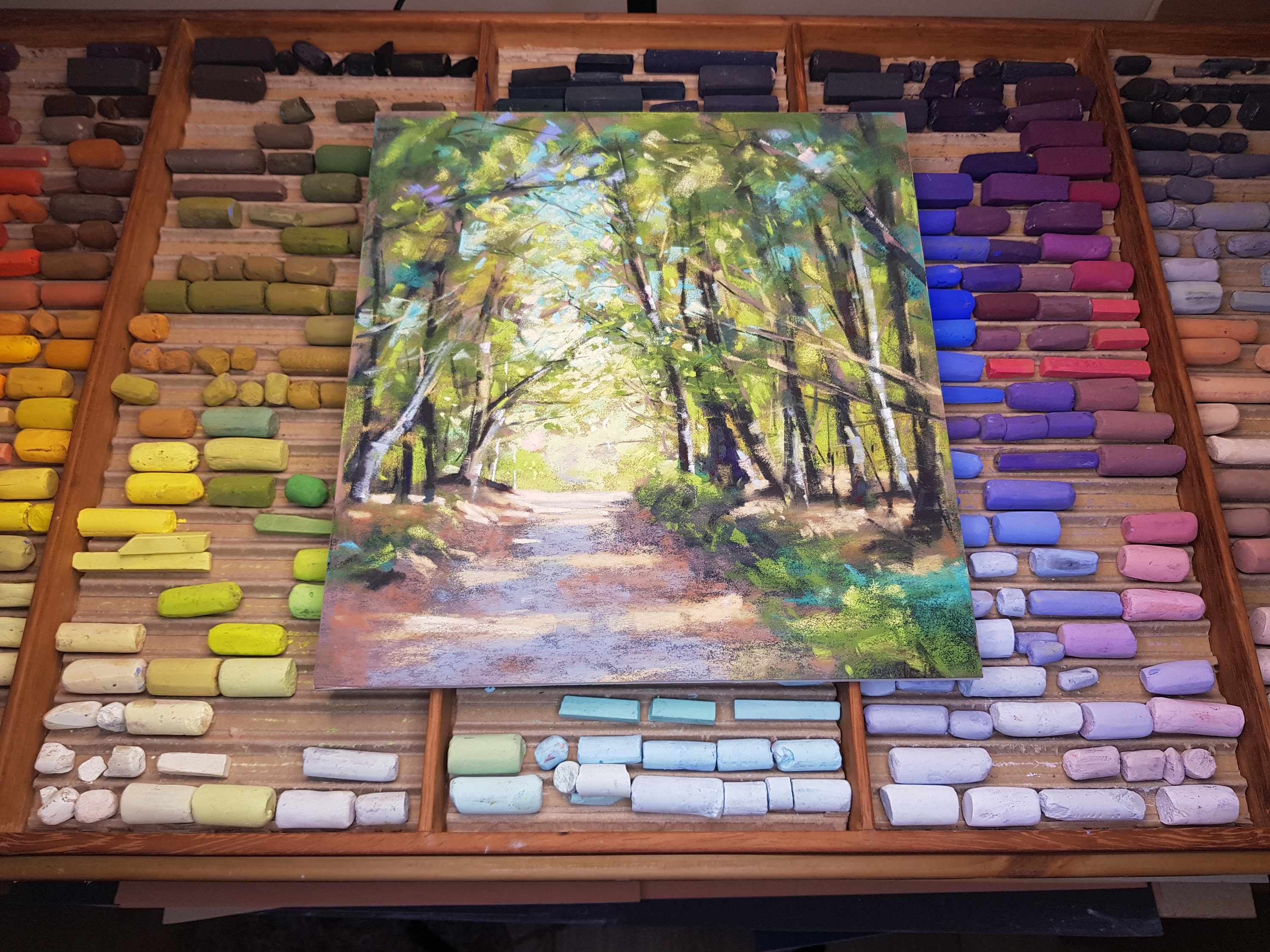 An Coill - Ireland Co. Dublin Kilmashogue Forest - Original Soft Pastel Painting 10X12", photo 4
