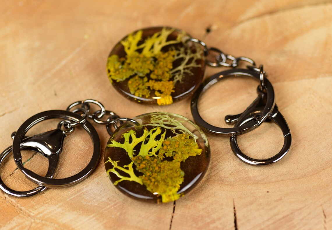 Botanical Resin Bag Charm - Lichen Forest Keychain, photo 4