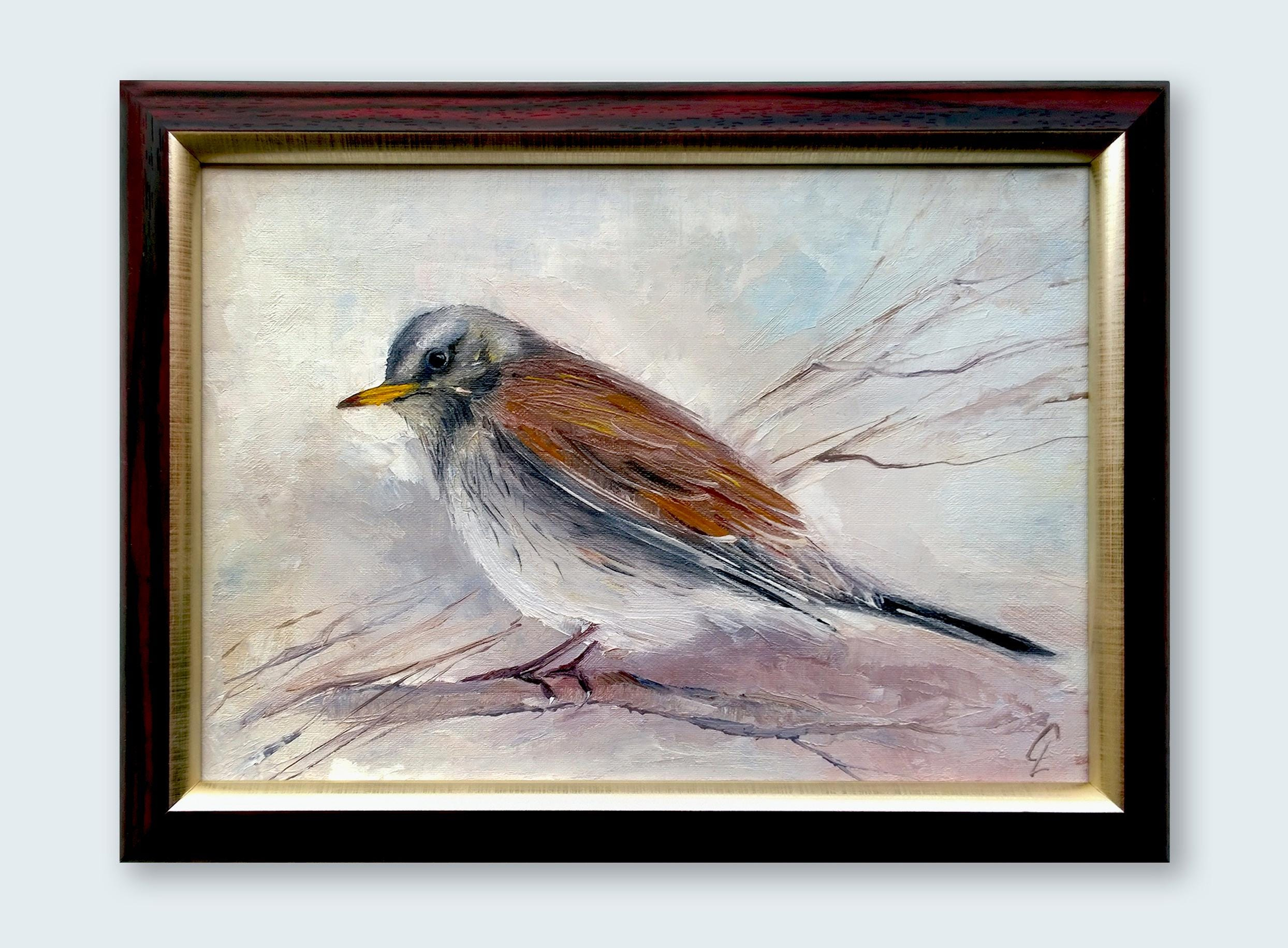 Thrush bird.
