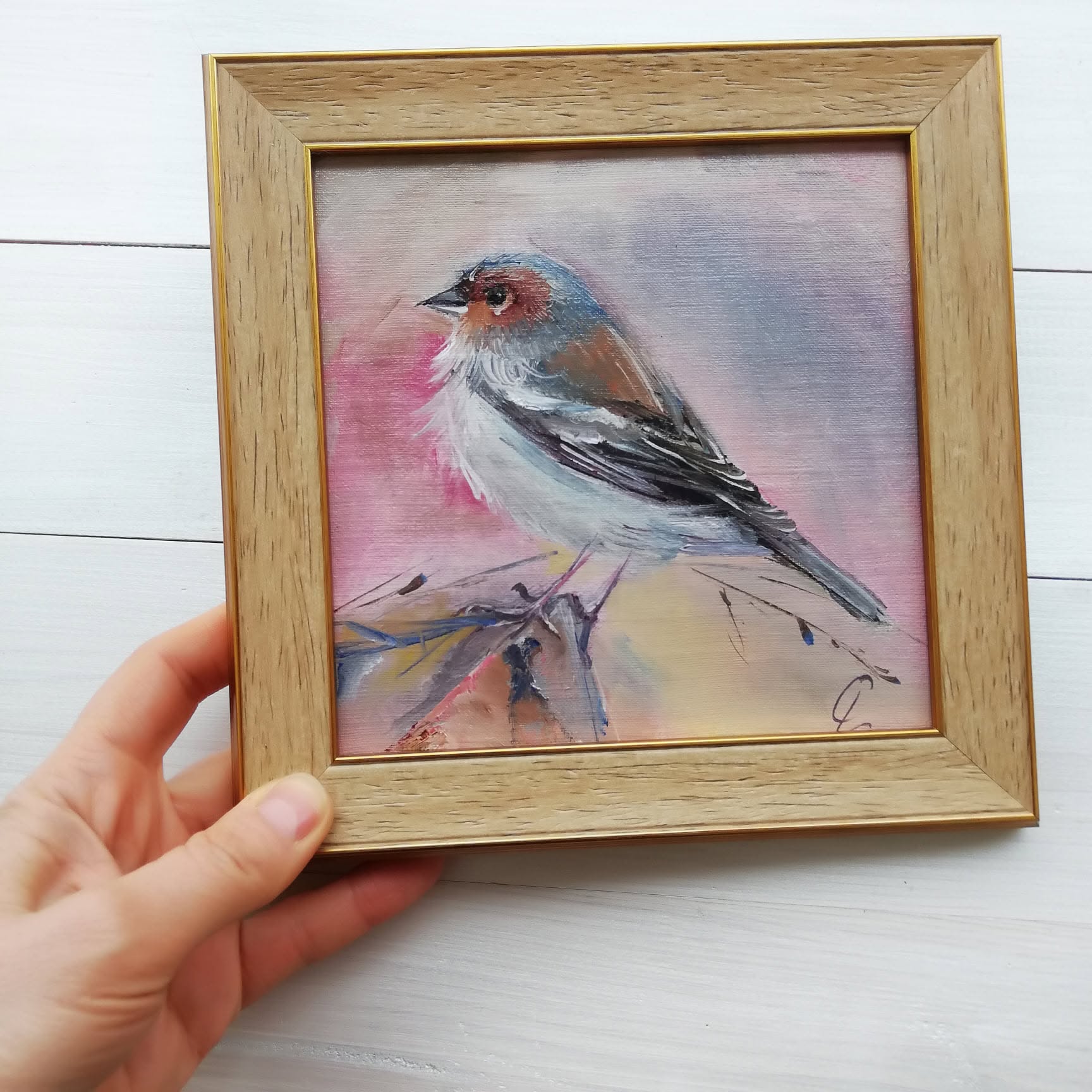 Finch, photo 2