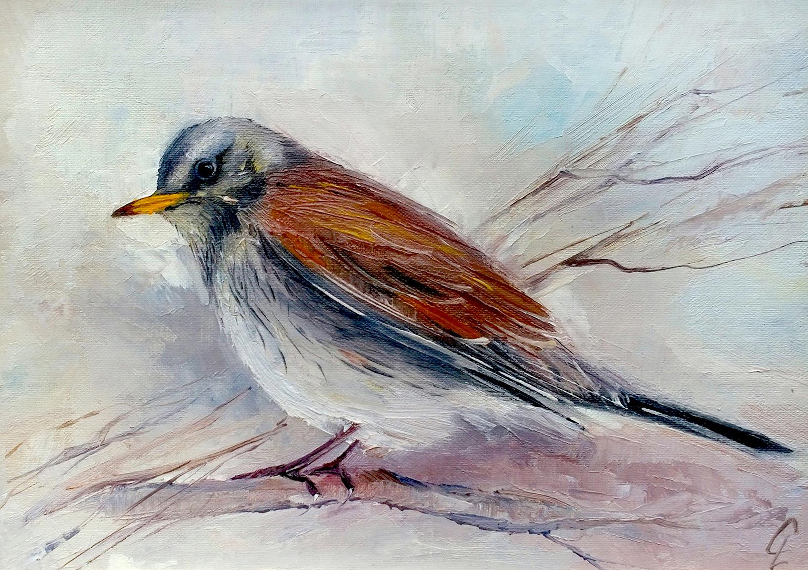 Thrush bird., photo 5