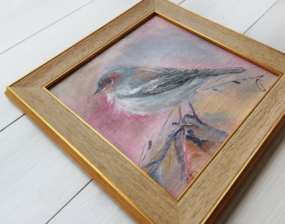 Finch, photo 4