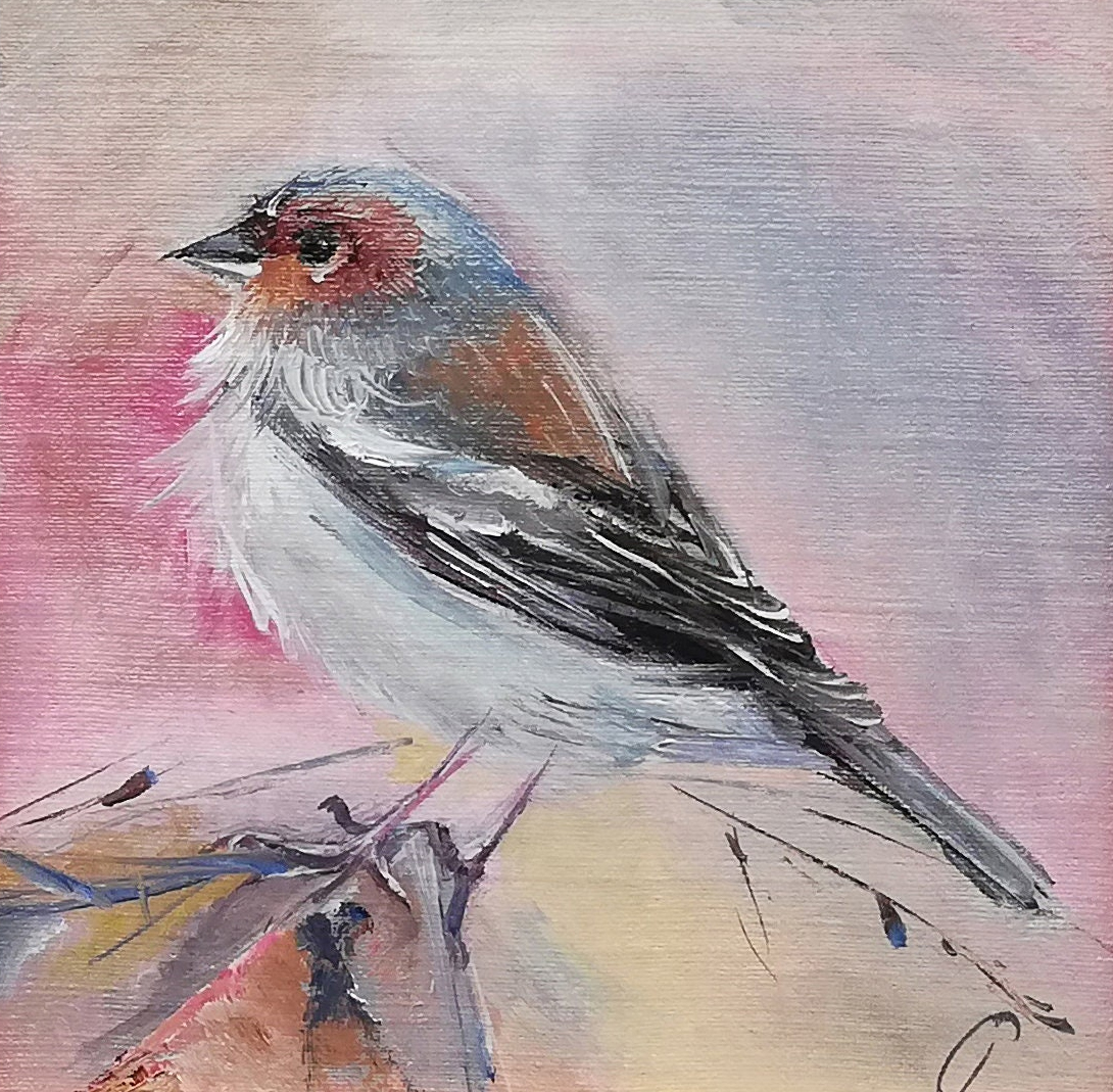 Finch, photo 3
