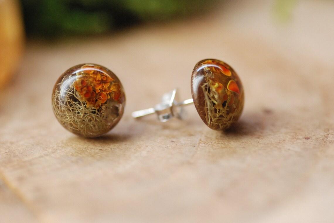 Botanical Resin Earrings With Orange Lichen On Silver Studs, photo 6