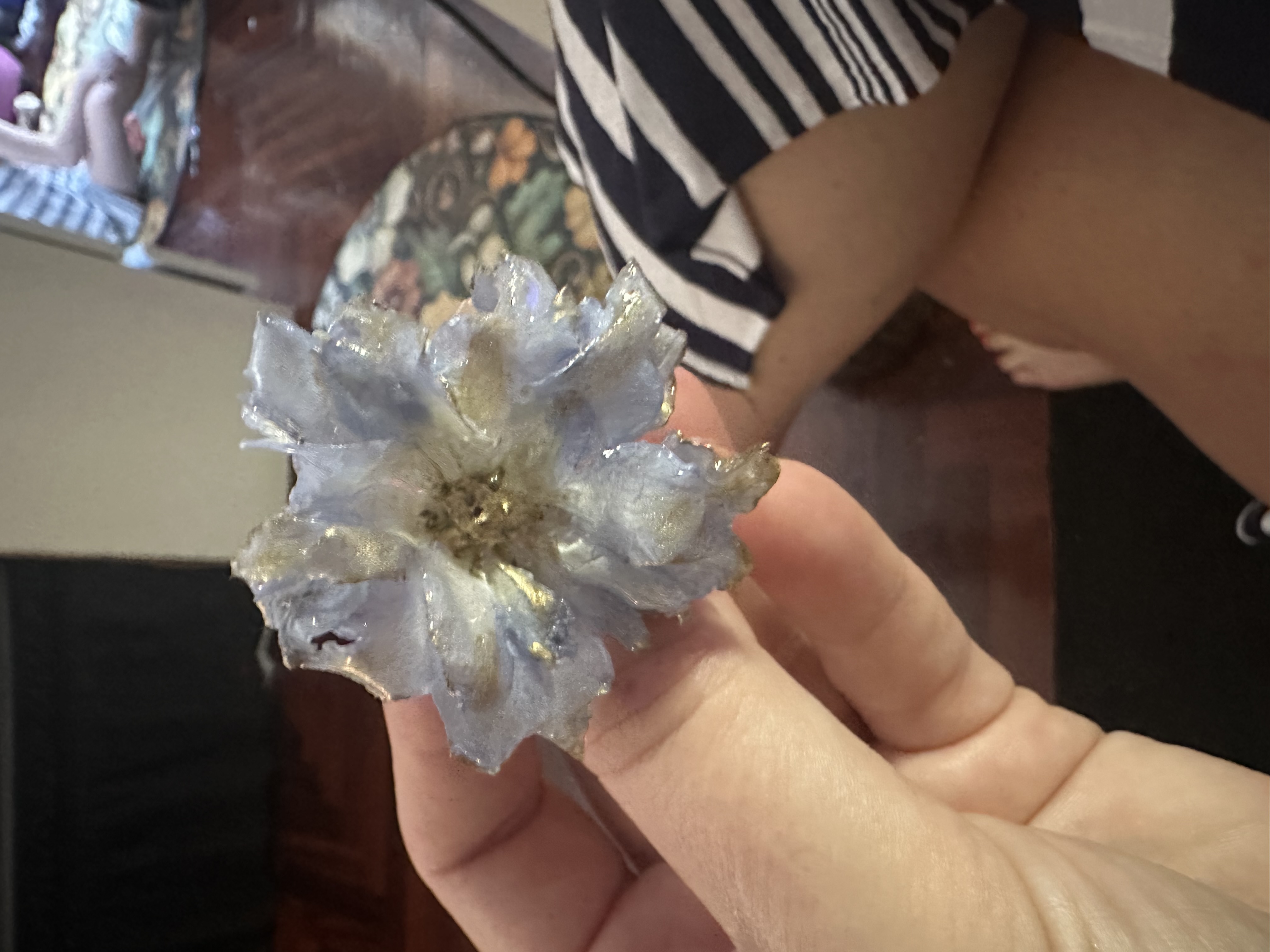 Delphinium