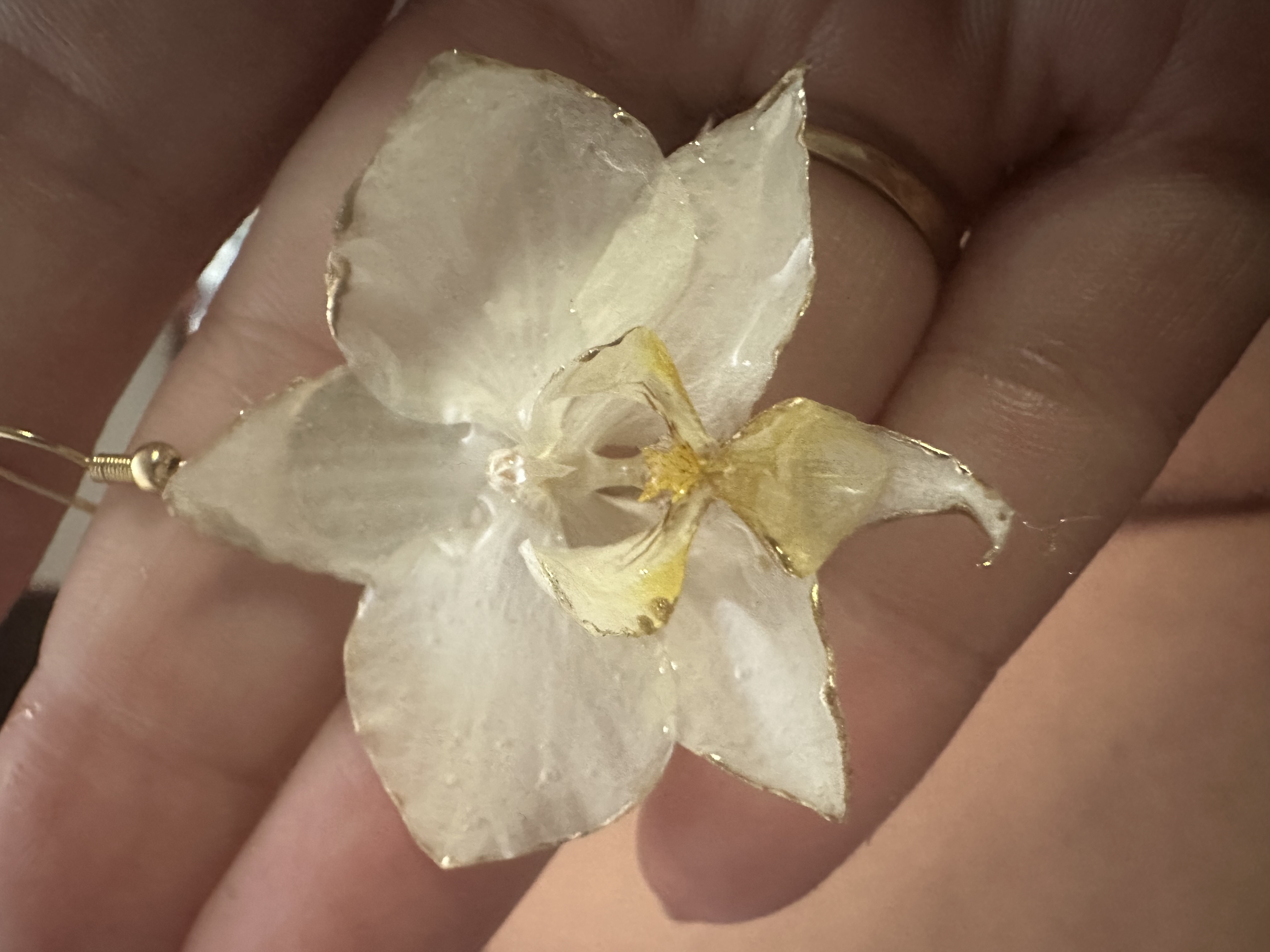 Orchid dreams