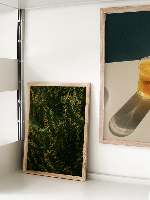 Backlight Cholla | Home and Office Wall Art | ECO-Friendly | Gallery Grade Print, photo 5