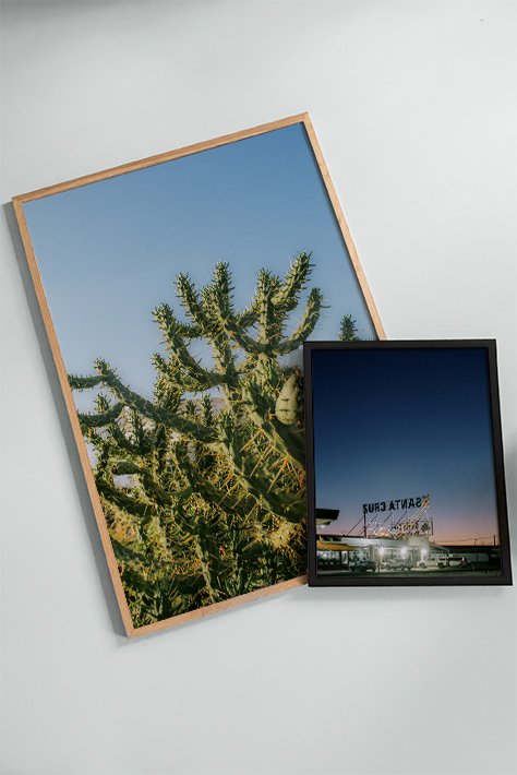 Cholla | Home and Office Wall Art | ECO-Friendly | Gallery Grade Print, photo 3