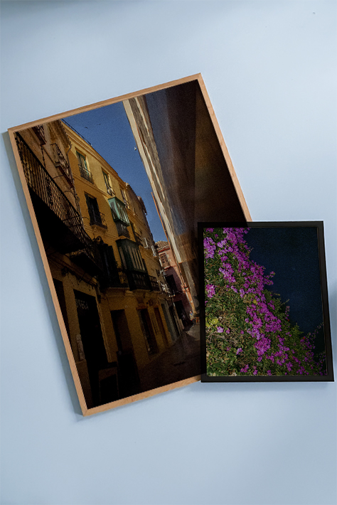 Bougainvillea | Home and Office Wall Art | ECO-Friendly | Gallery Grade Print, photo 2