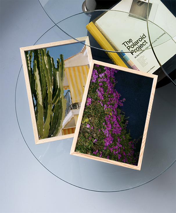 Bougainvillea | Home and Office Wall Art | ECO-Friendly | Gallery Grade Print