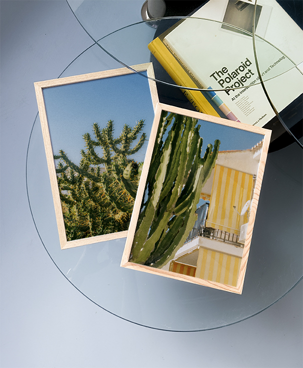 Cactus Stripes and Blue Sky | Home and Office Wall Art | ECO-Friendly | Gallery Grade Print, photo 3
