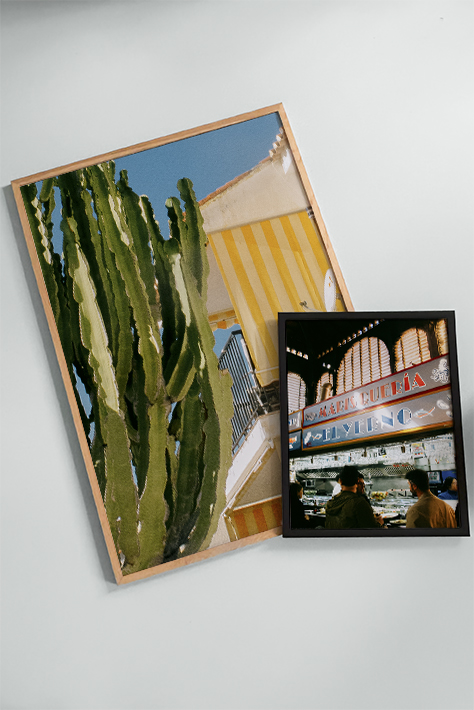 Cactus Stripes and Blue Sky | Home and Office Wall Art | ECO-Friendly | Gallery Grade Print