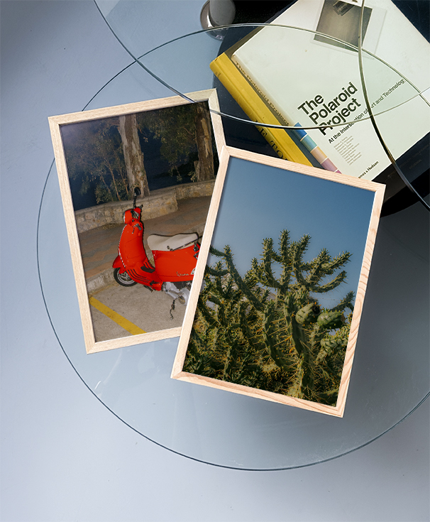 Cholla | Home and Office Wall Art | ECO-Friendly | Gallery Grade Print, photo 4