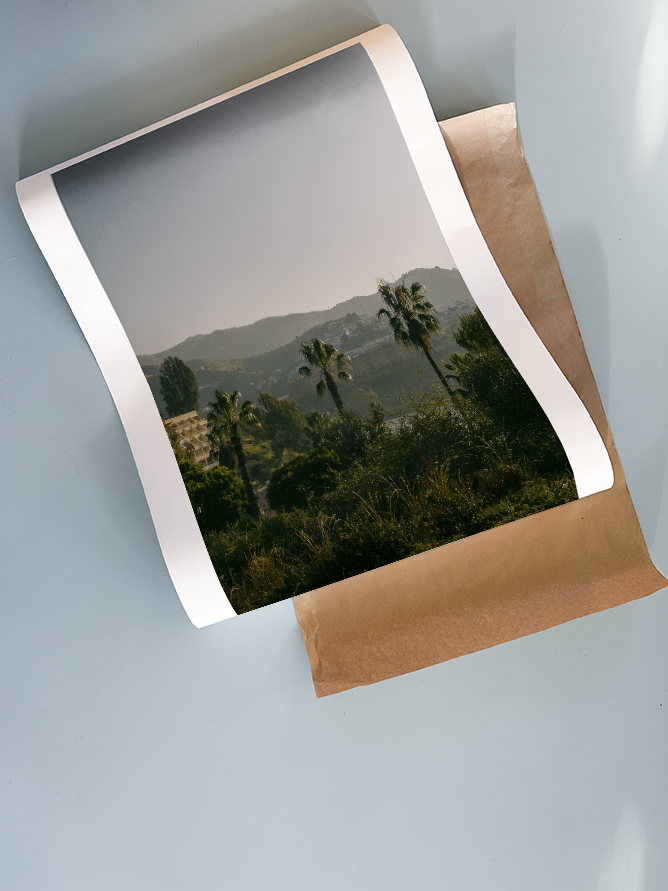 Three palms | Home and Office Wall Art | ECO-Friendly | Gallery Grade Print, photo 4