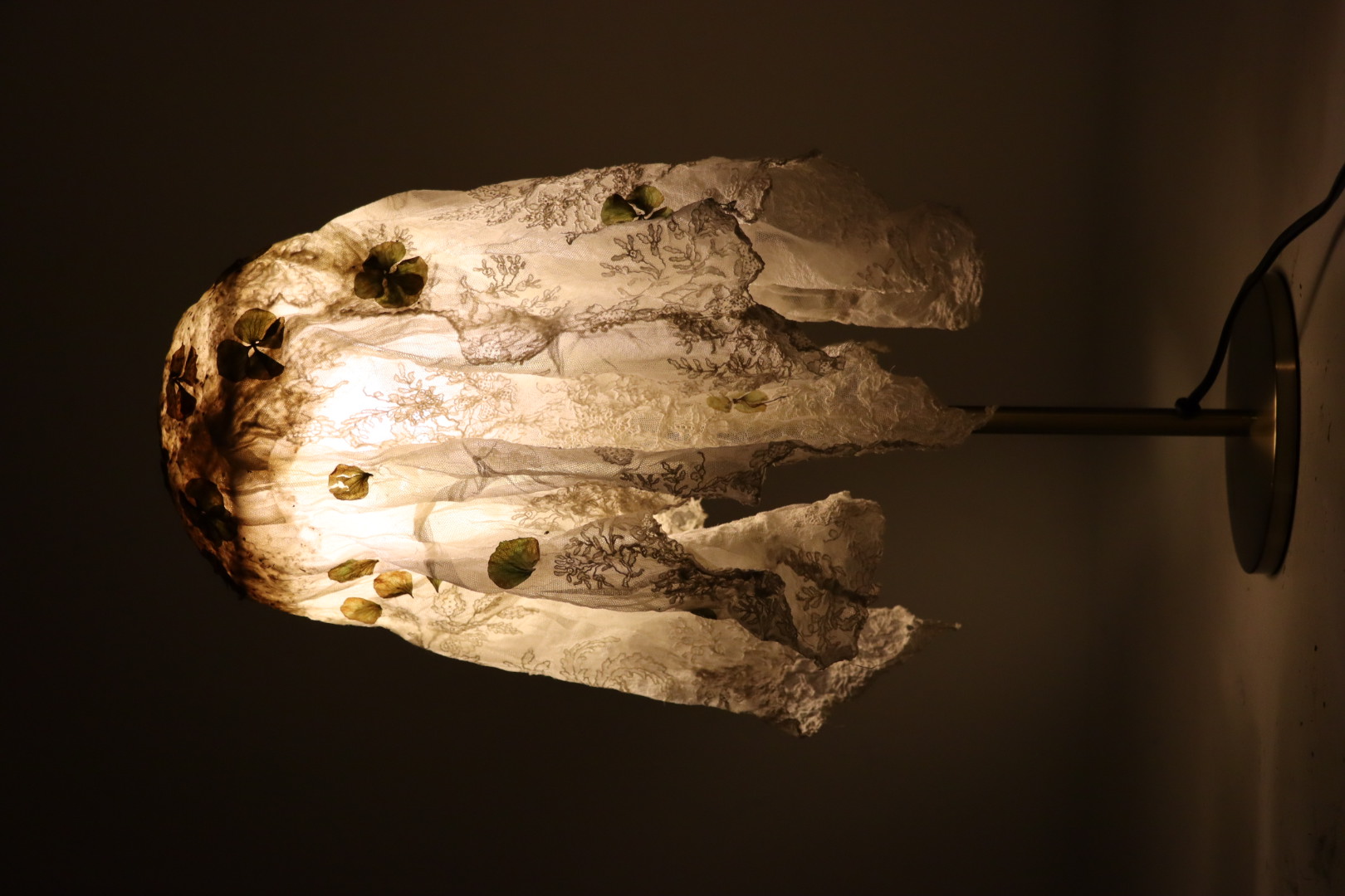 Ortensia