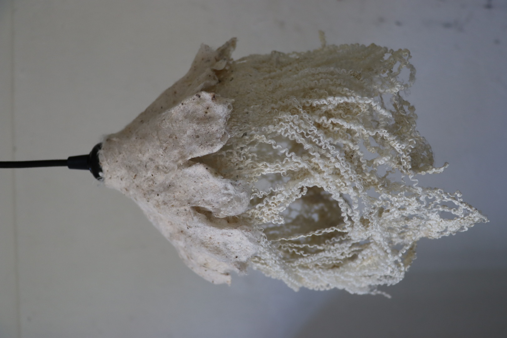 Frayed Peplum, photo 2