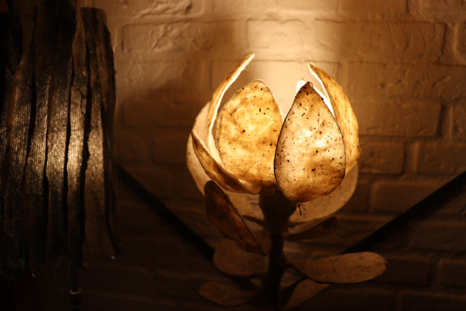 Cotton Bulb, photo 2