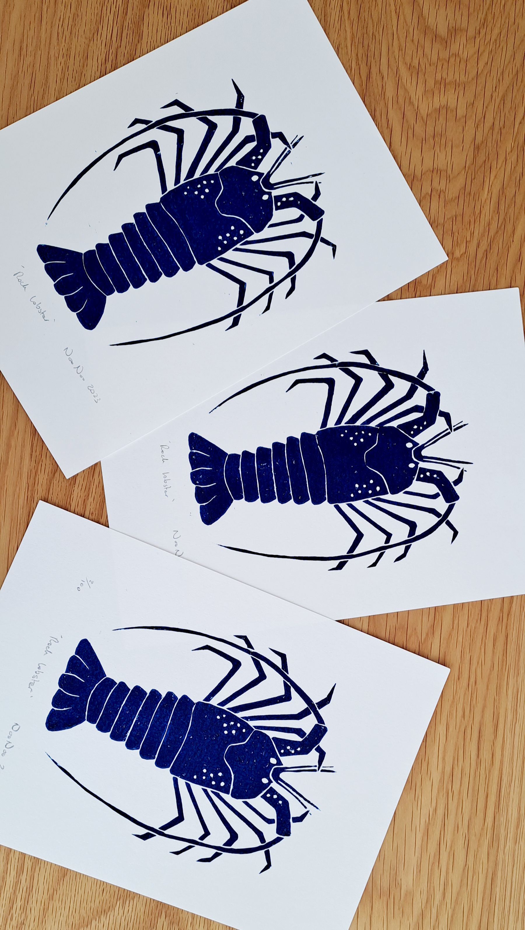 Rock Lobster, photo 4