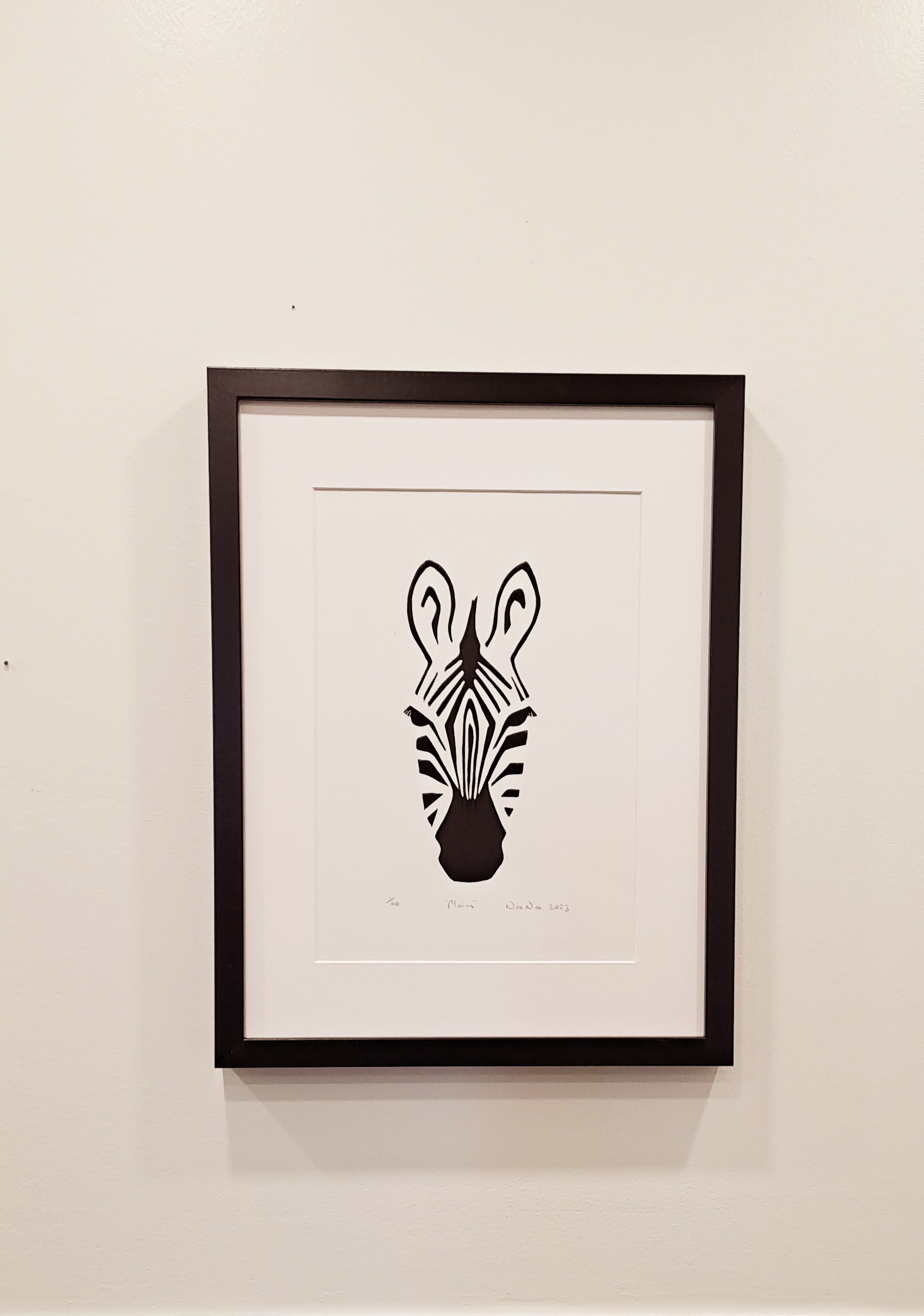 Grevy's, Plains, Mountain, photo 4