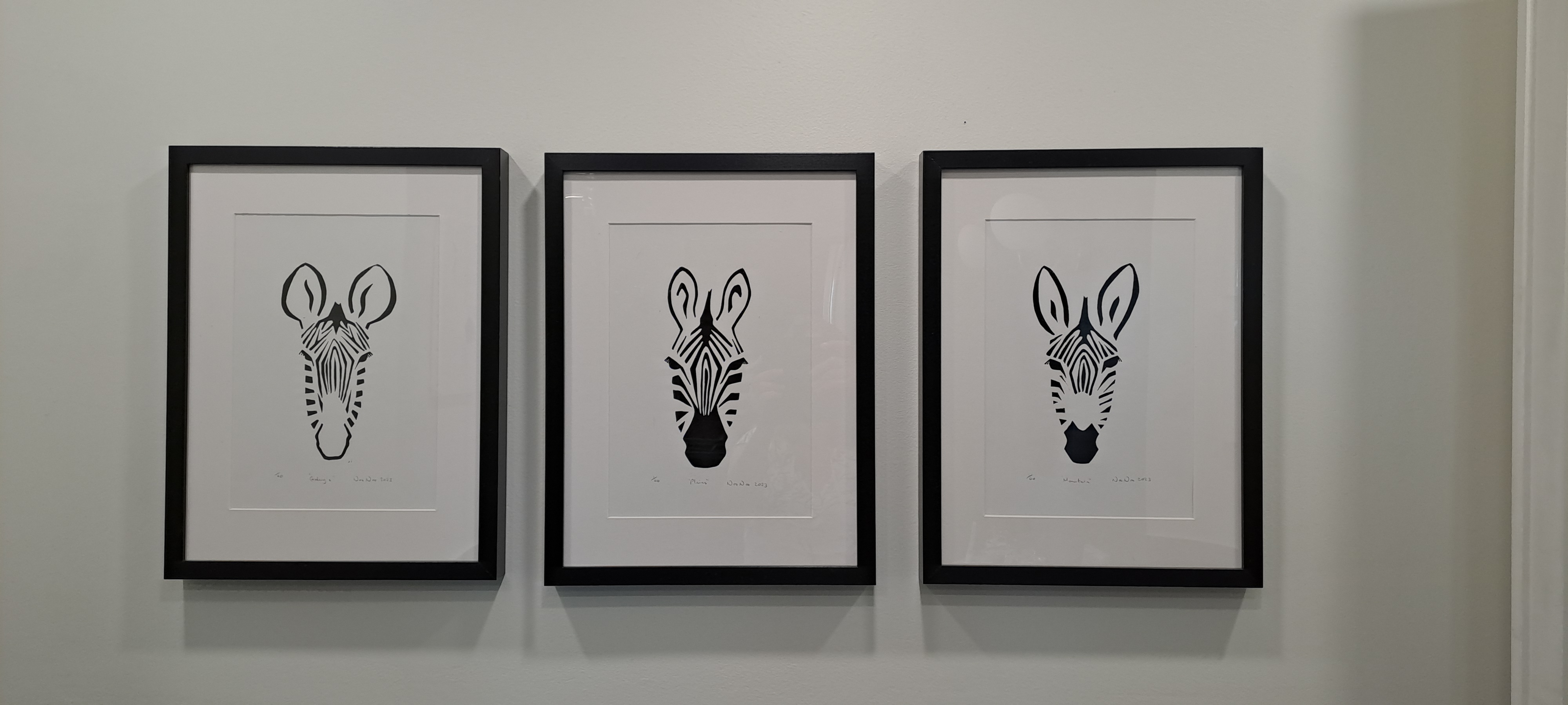 Grevy's, Plains, Mountain, photo 2