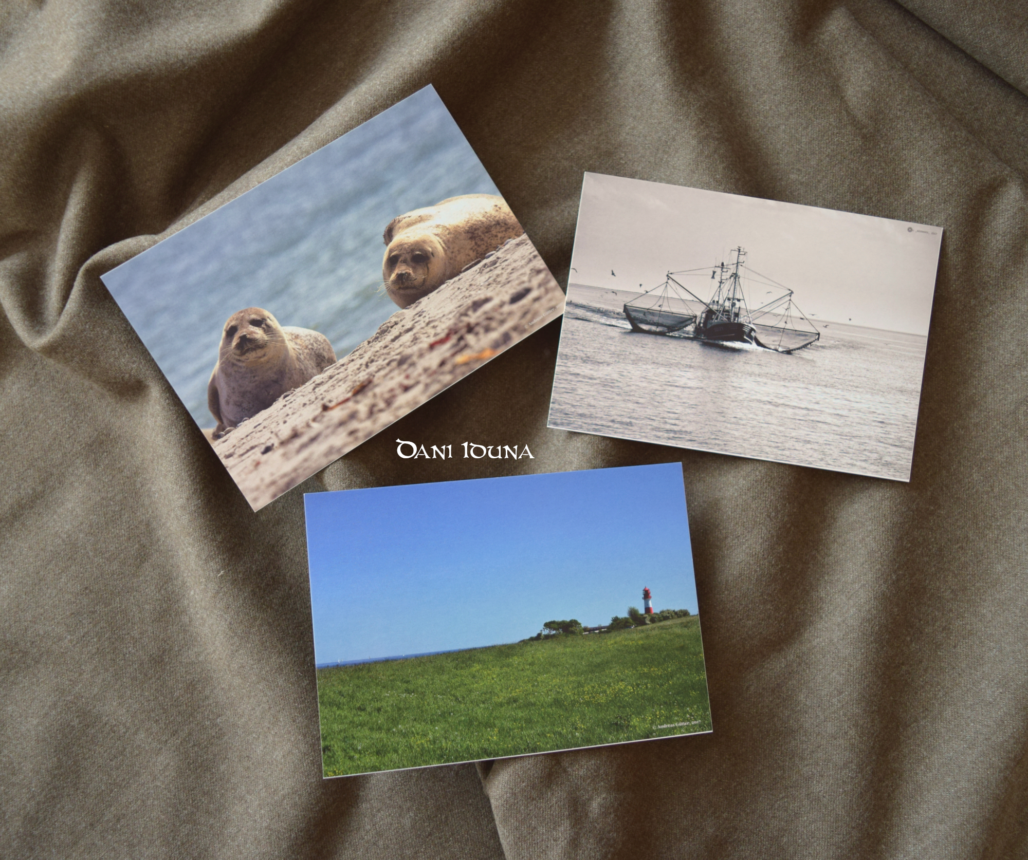 Postcards Seal, Lighthouse and Trawler, North Sea postcards, Baltic Sea postcards, Maritime postcard set