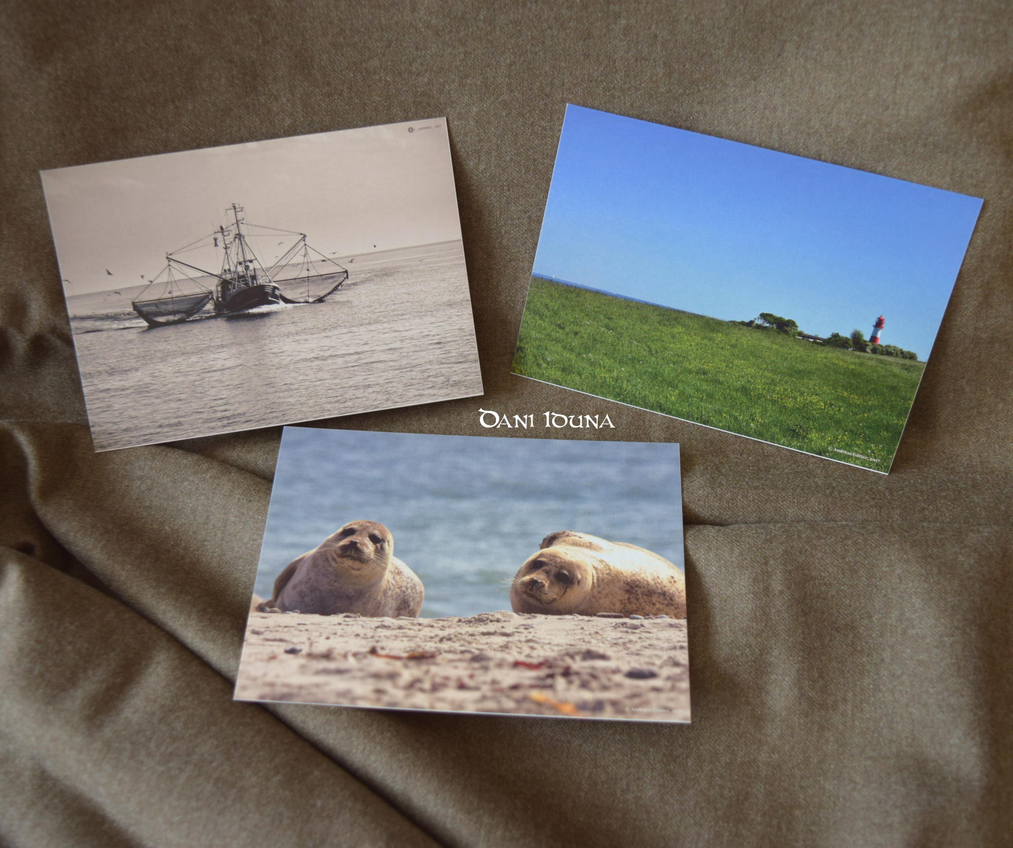 Postcards Seal, Lighthouse and Trawler, North Sea postcards, Baltic Sea postcards, Maritime postcard set, photo 2