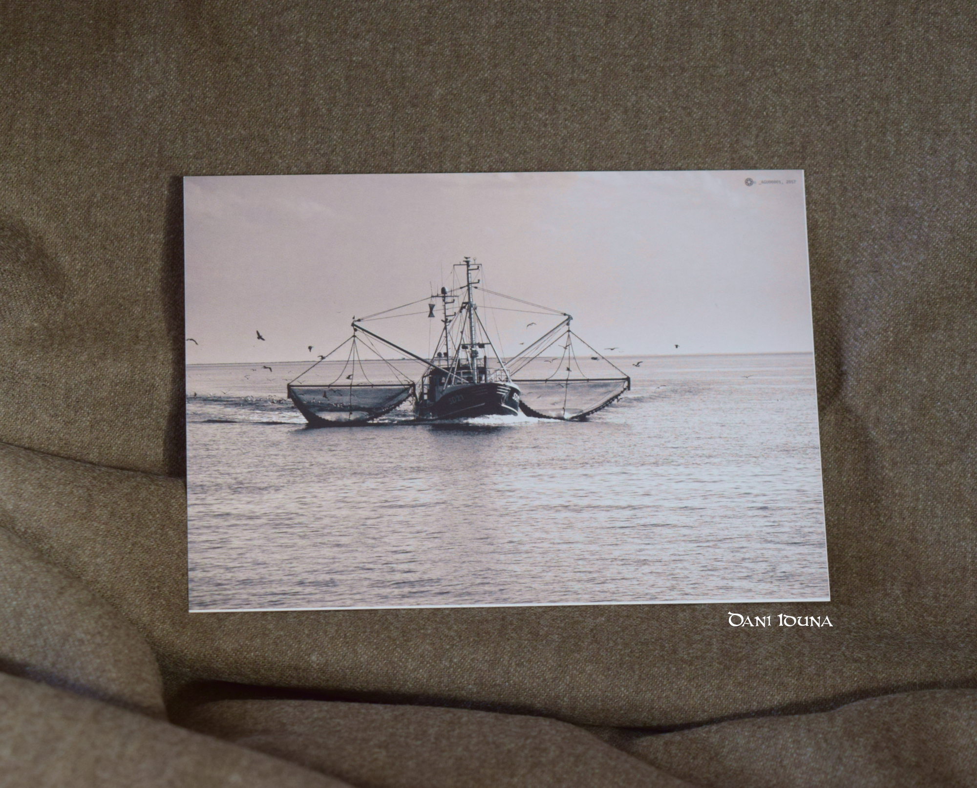 Postcards Seal, Lighthouse and Trawler, North Sea postcards, Baltic Sea postcards, Maritime postcard set, photo 5