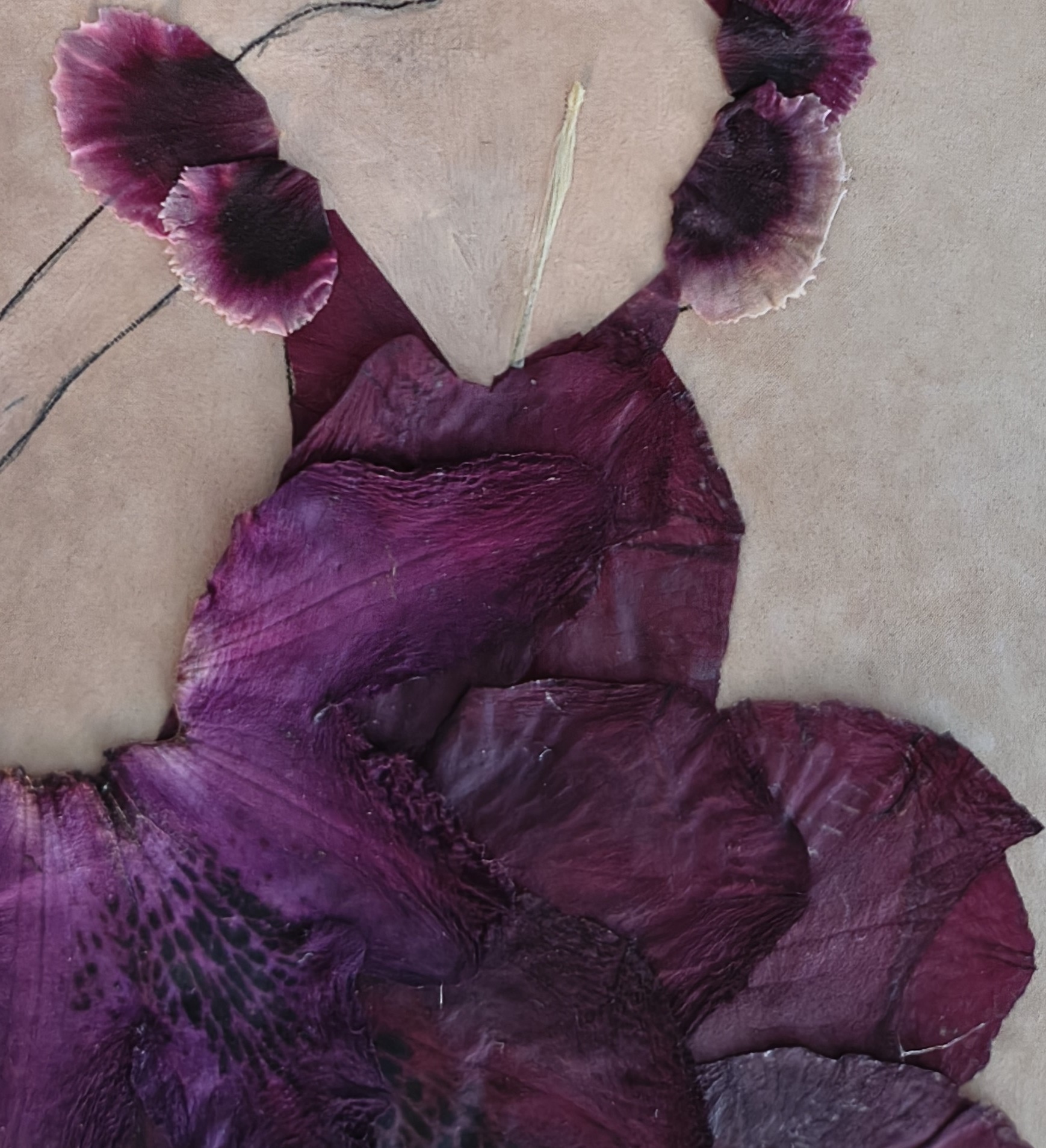 She Lifted the Bloom, photo 5