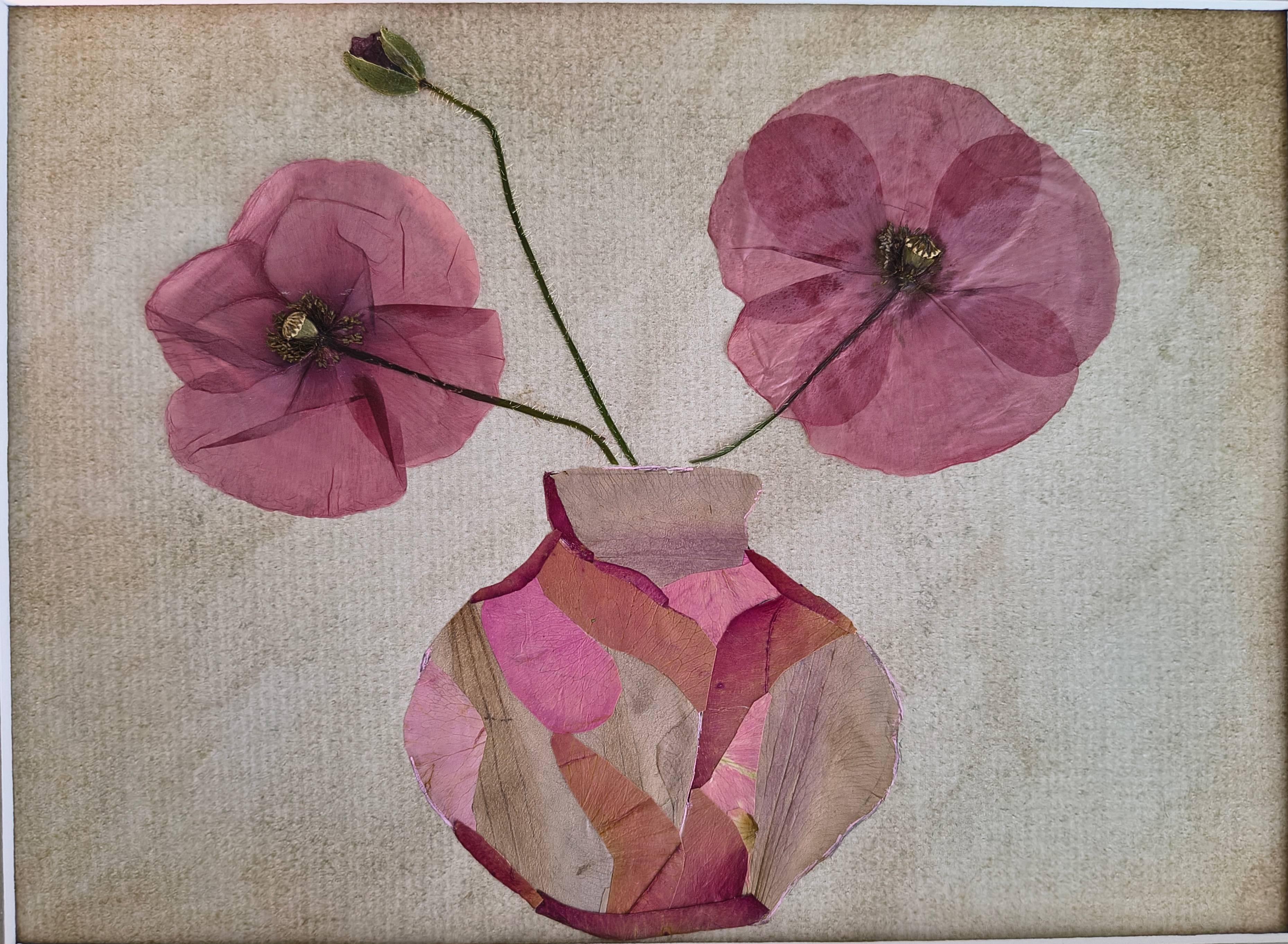 Red poppy, photo 2