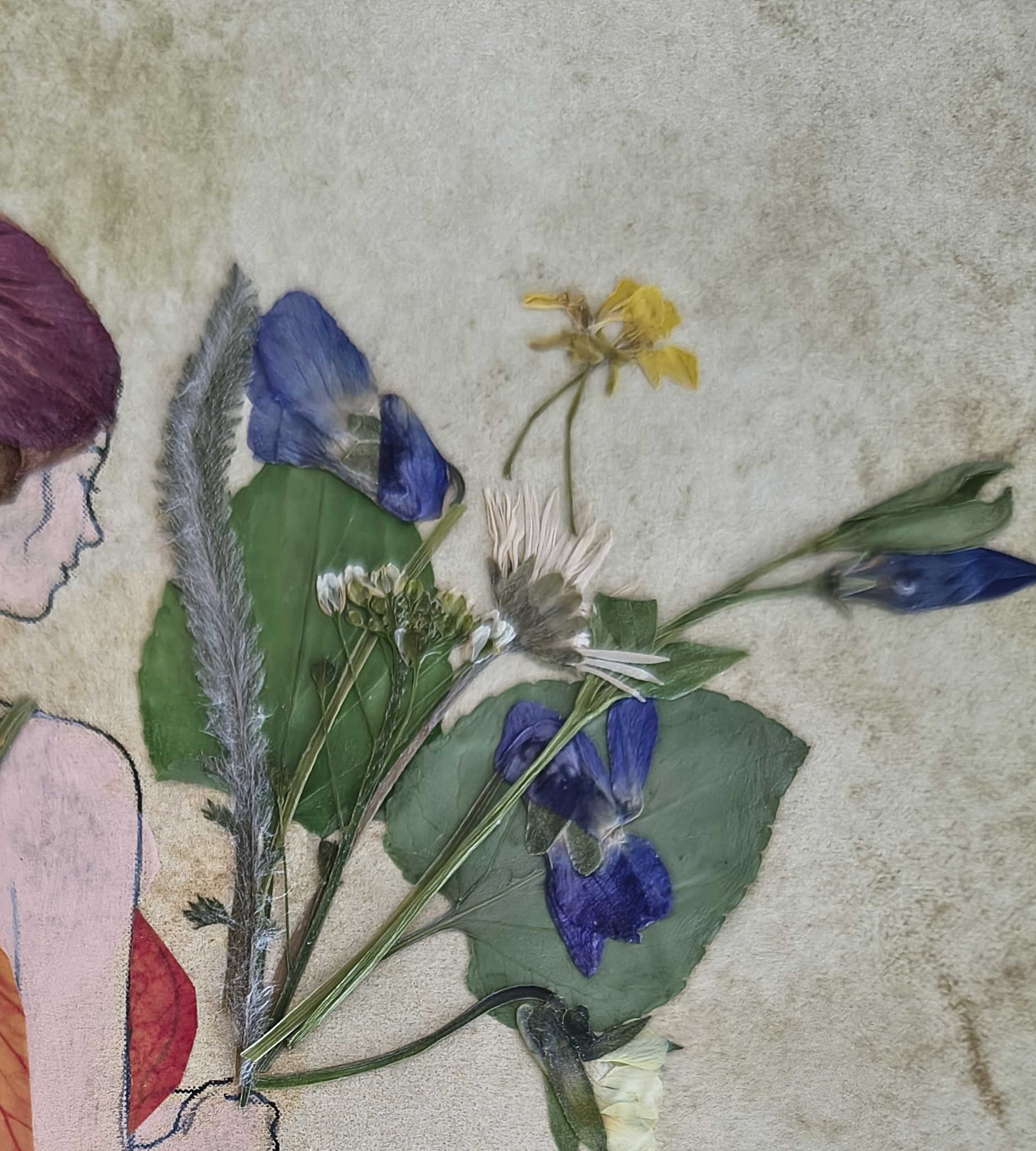 She Gathered Summer, photo 4