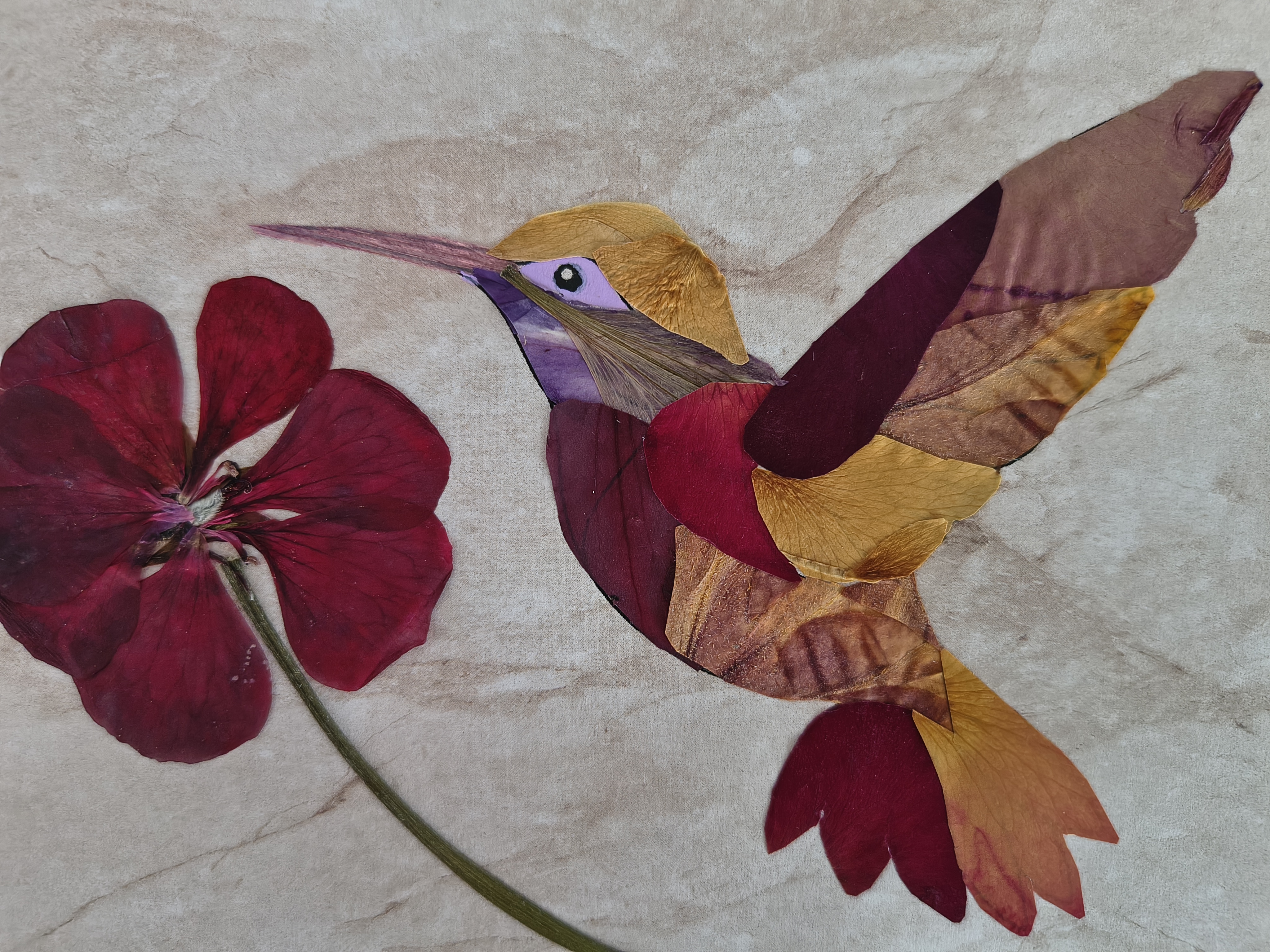A Breath Between Petals, photo 3