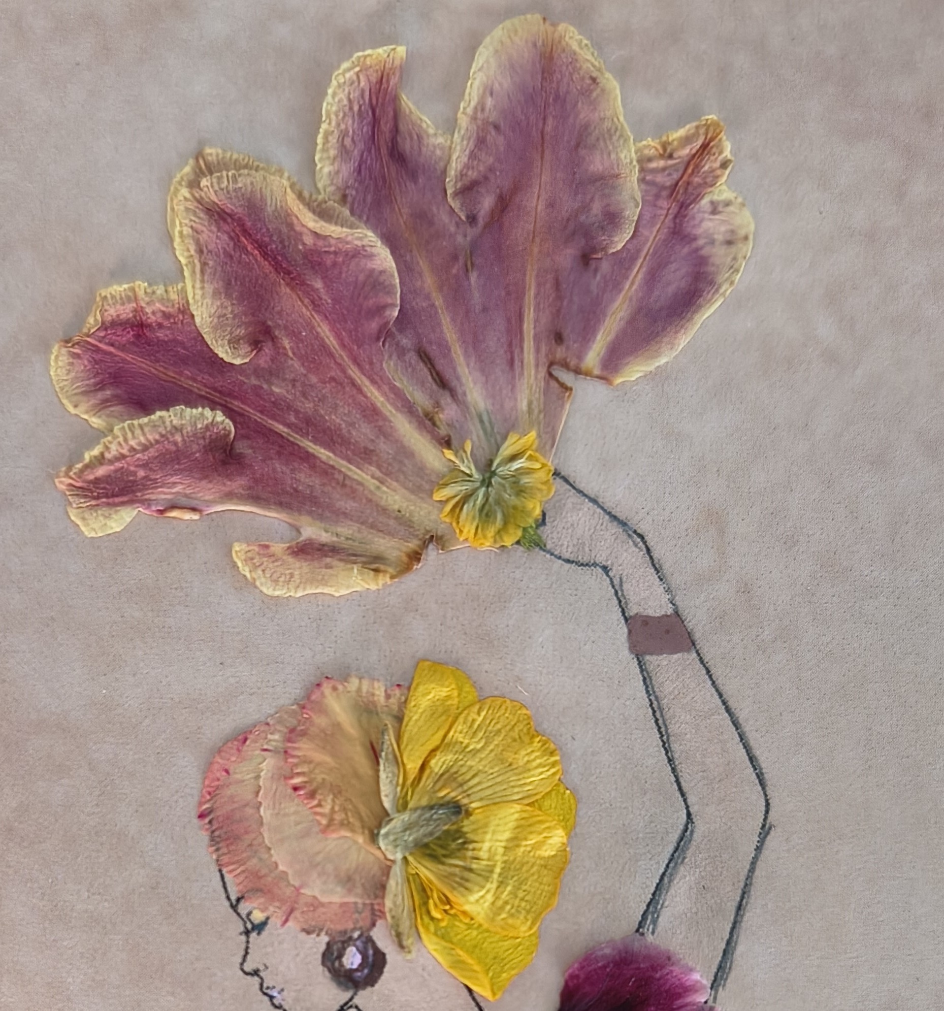 She Lifted the Bloom, photo 4