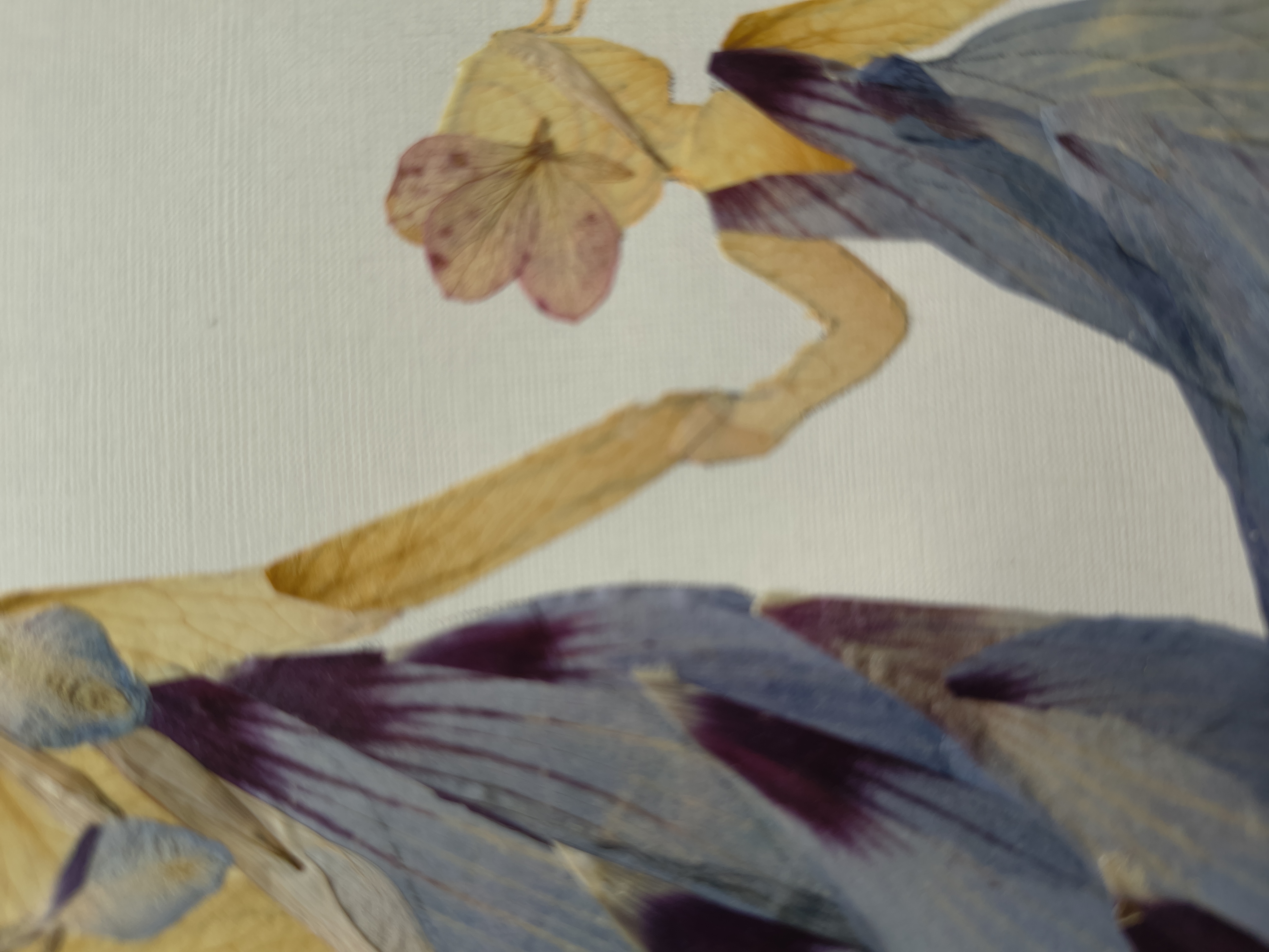 Blue Wind, photo 3