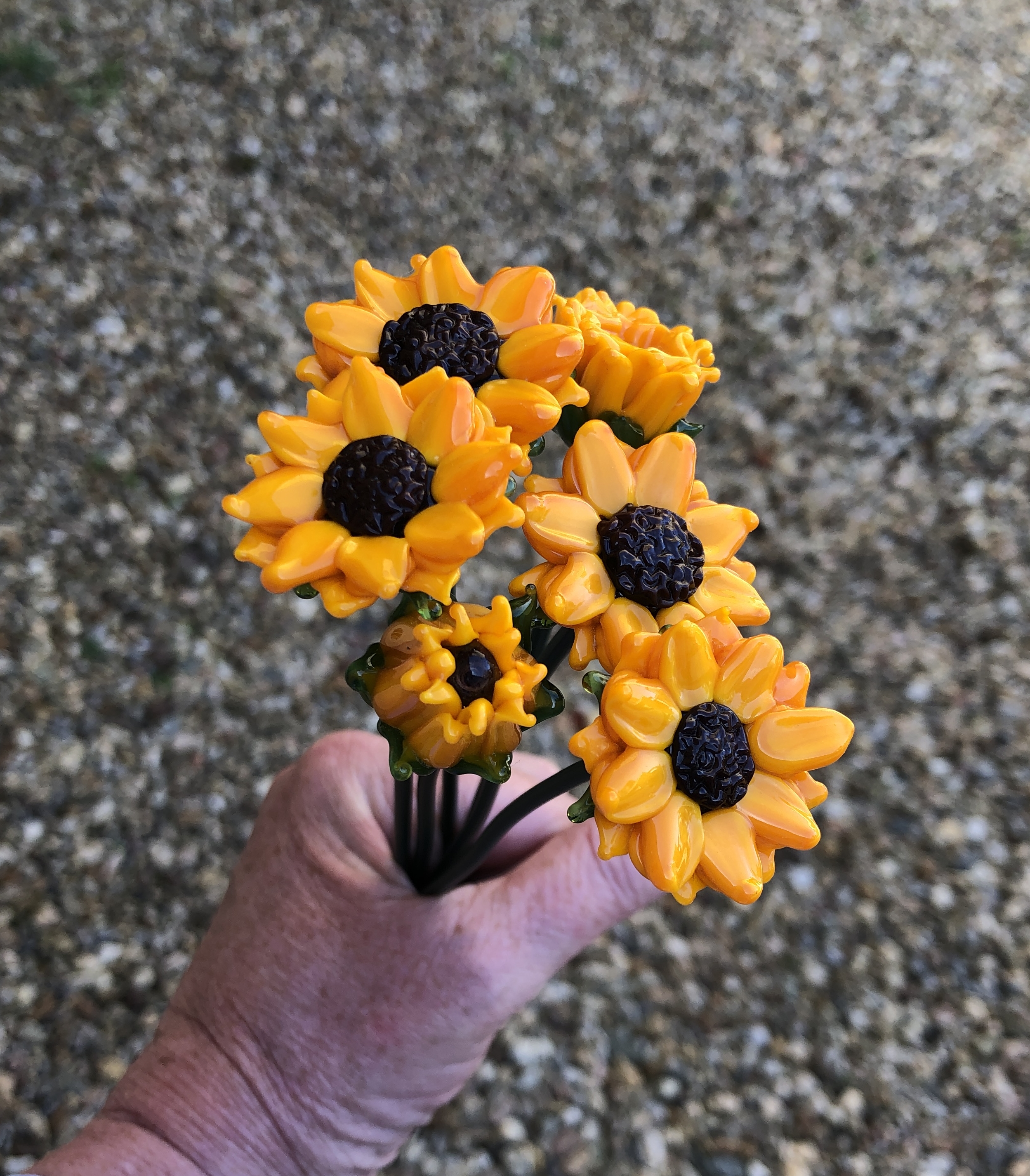 Sunflower stem, photo 2