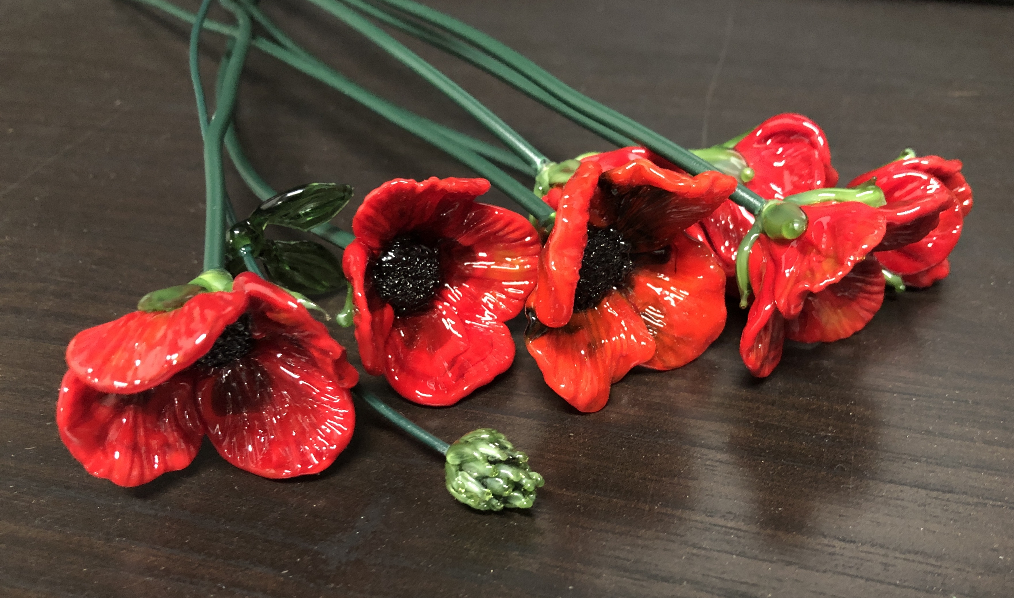 Poppy stems, photo 4