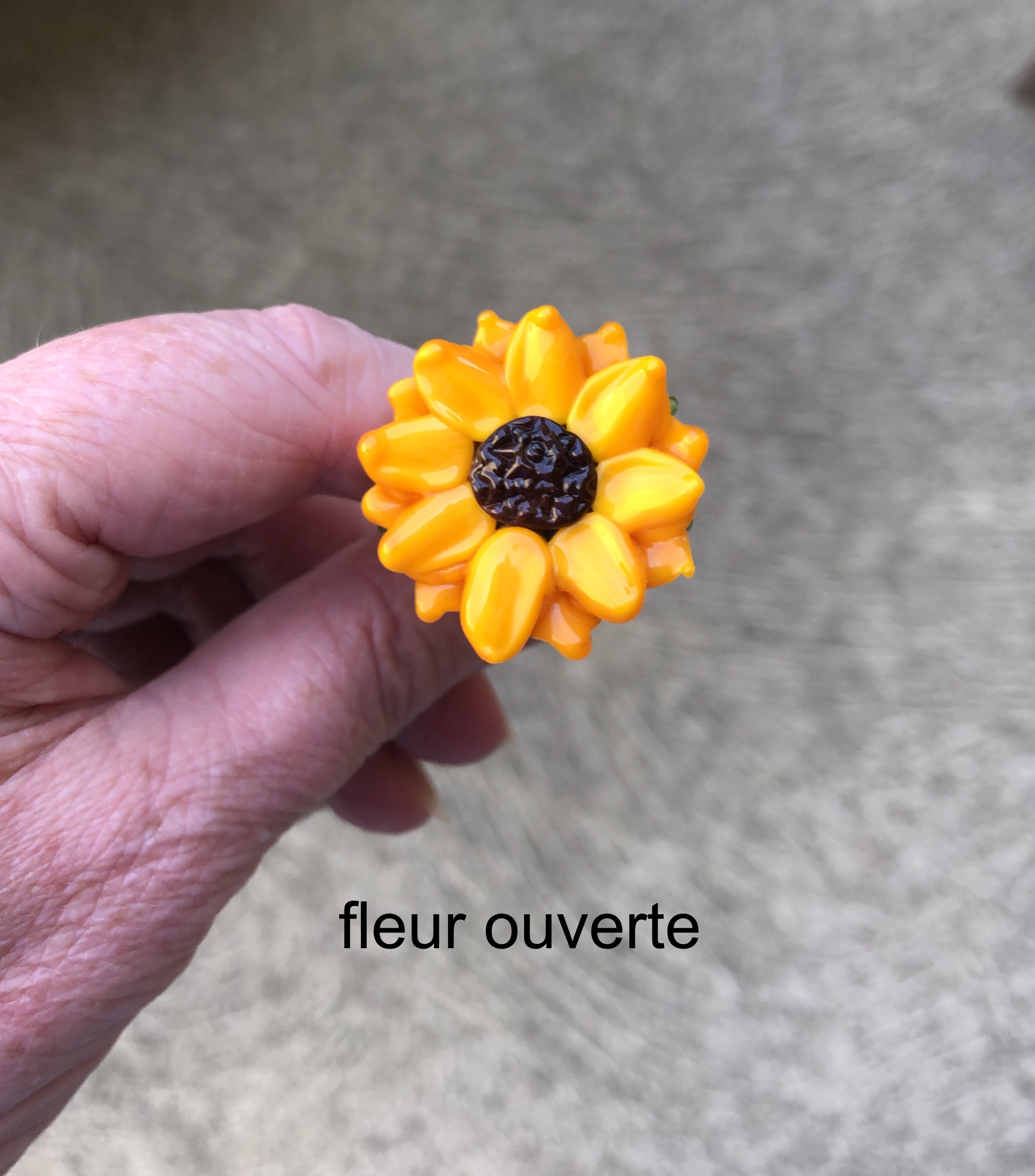 Sunflower stem, photo 4