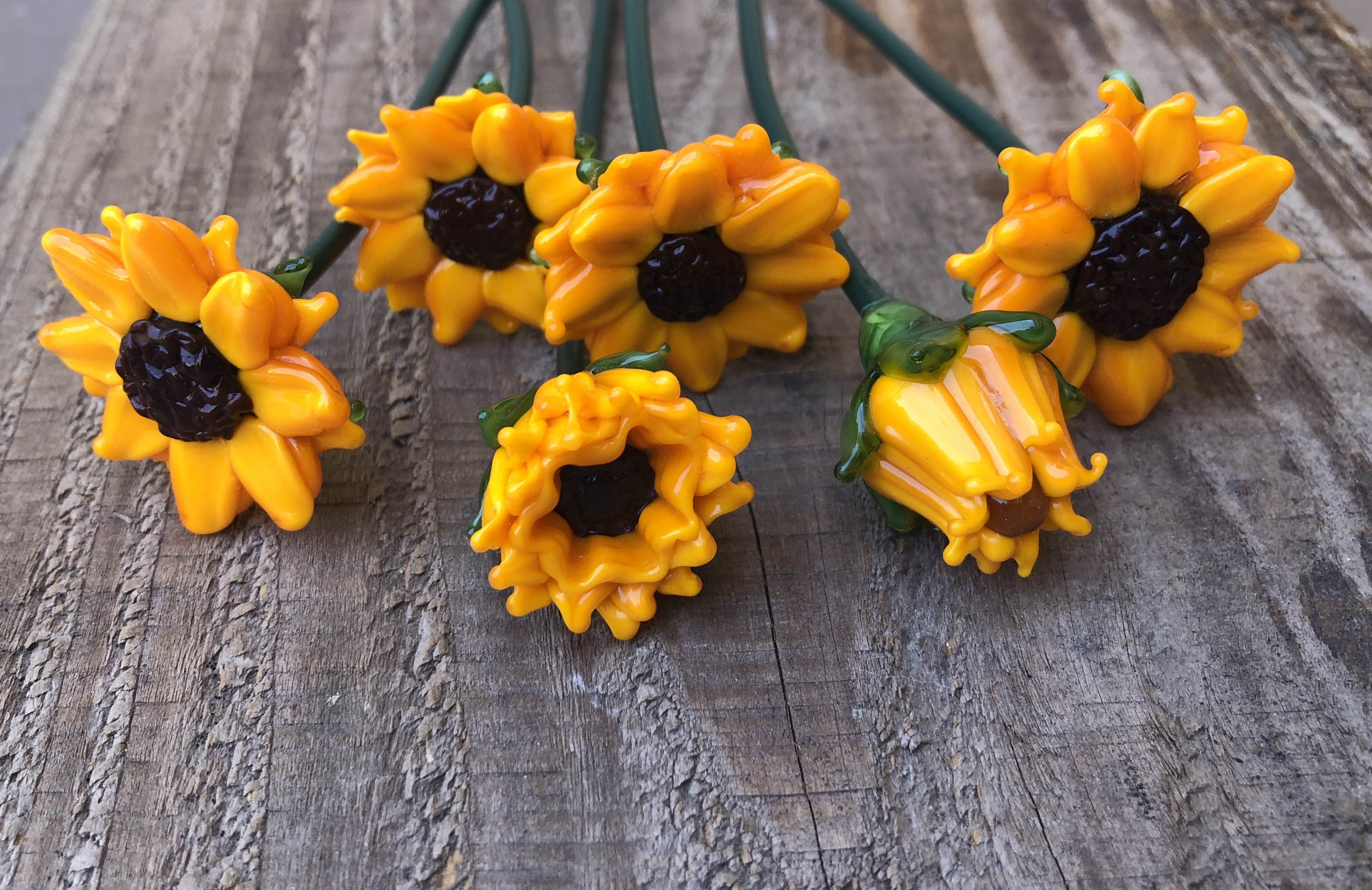 Sunflower stem, photo 5