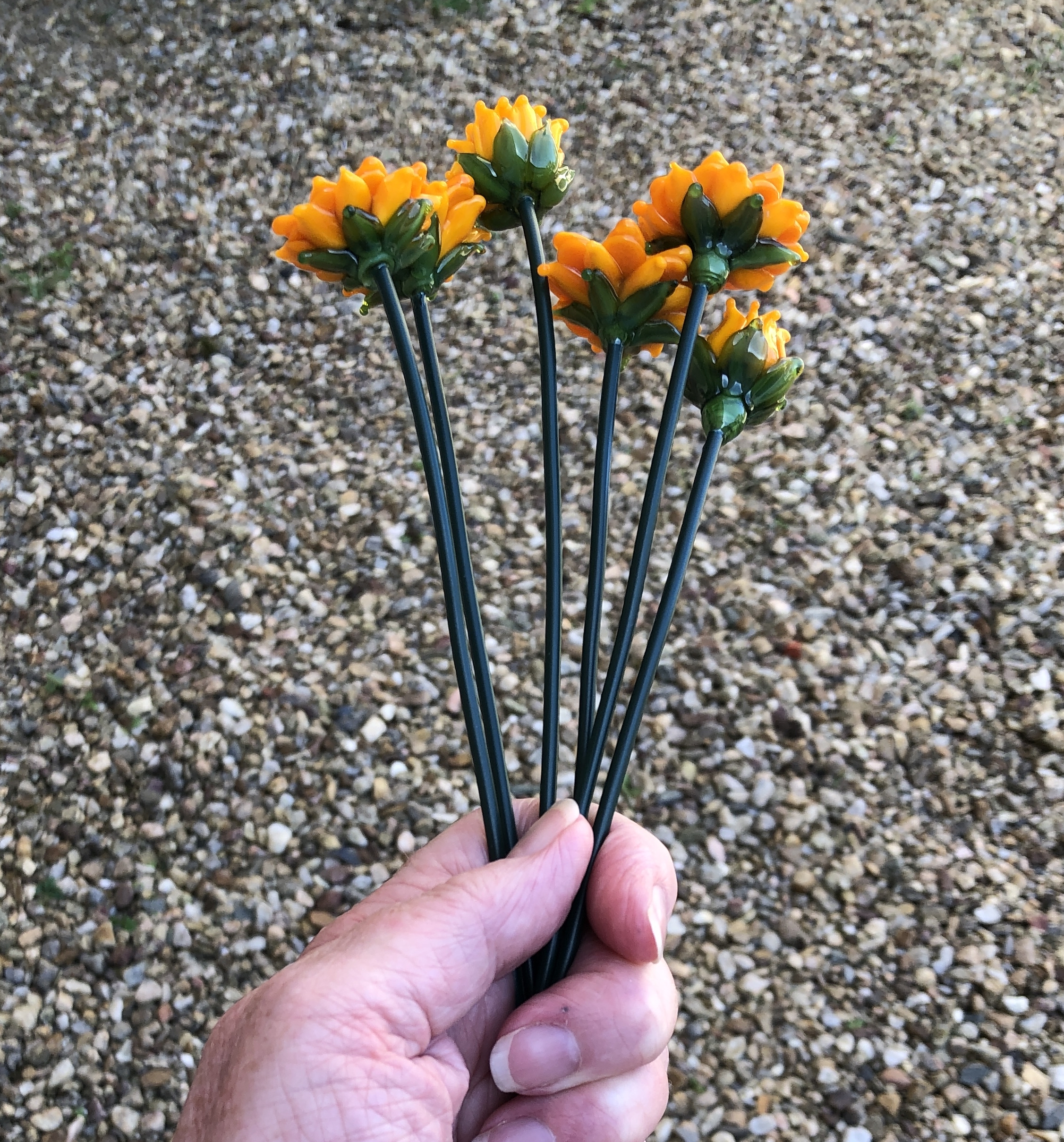 Sunflower stem, photo 3