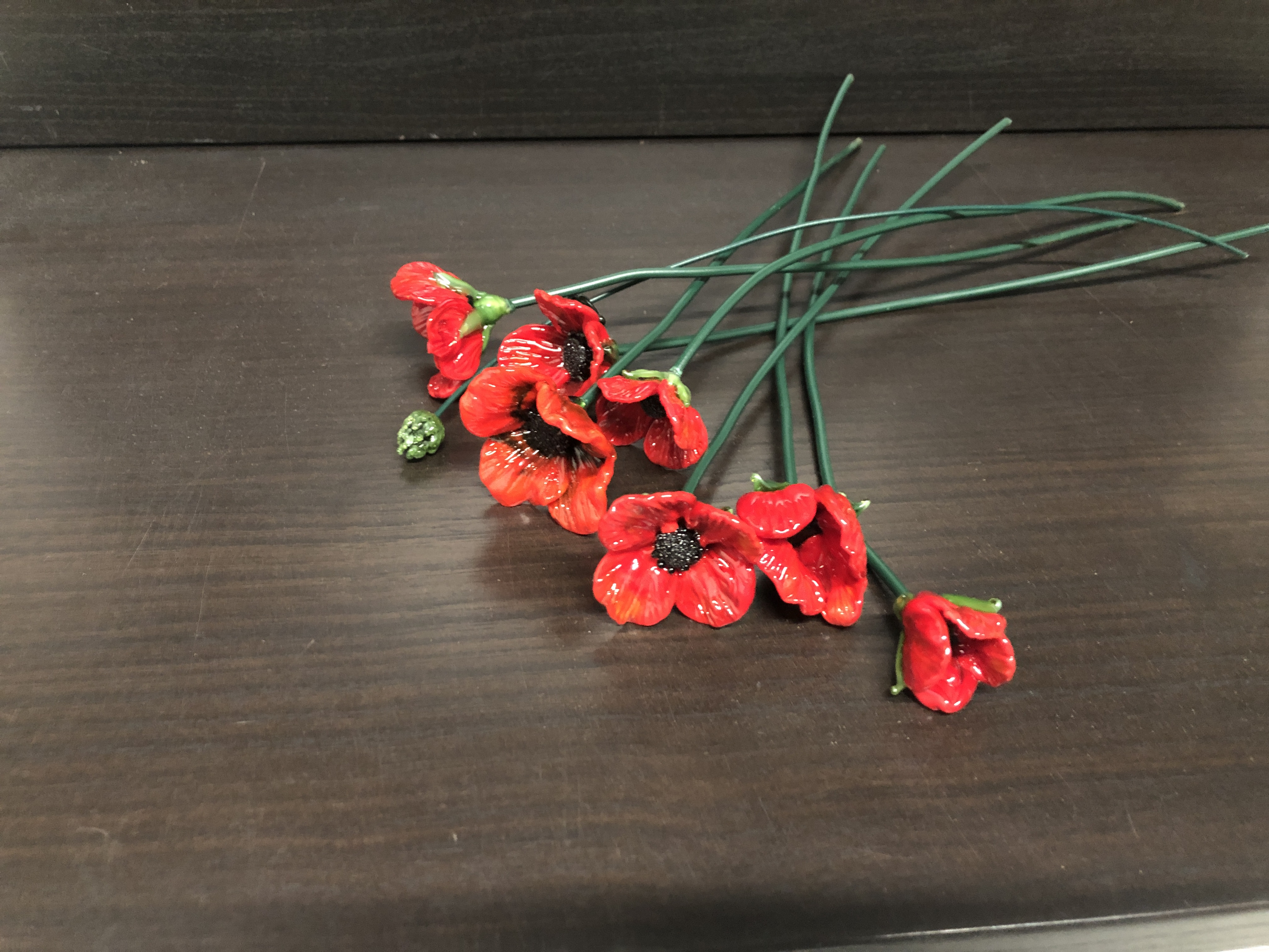 Poppy stems, photo 5