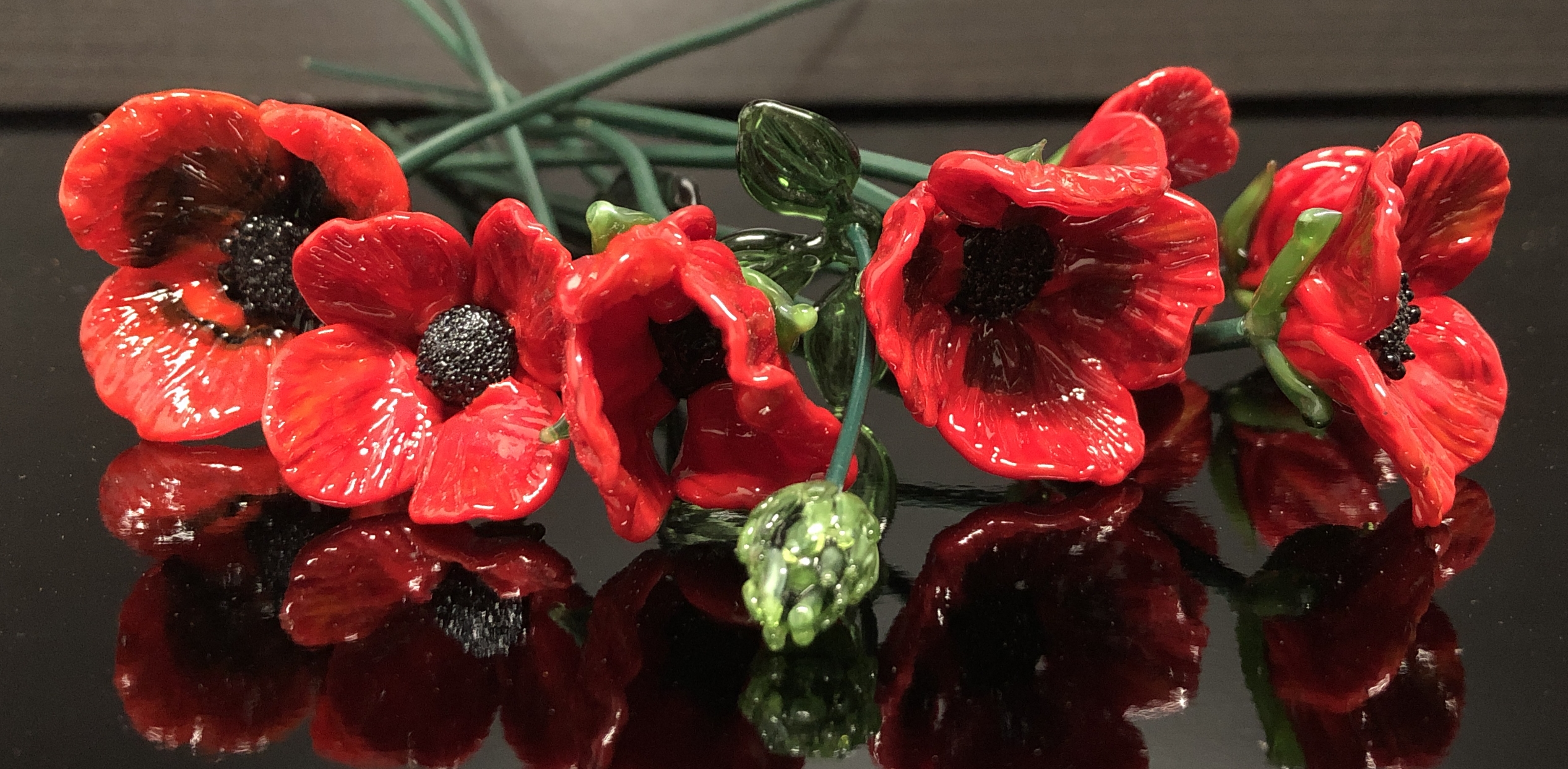 Poppy stems