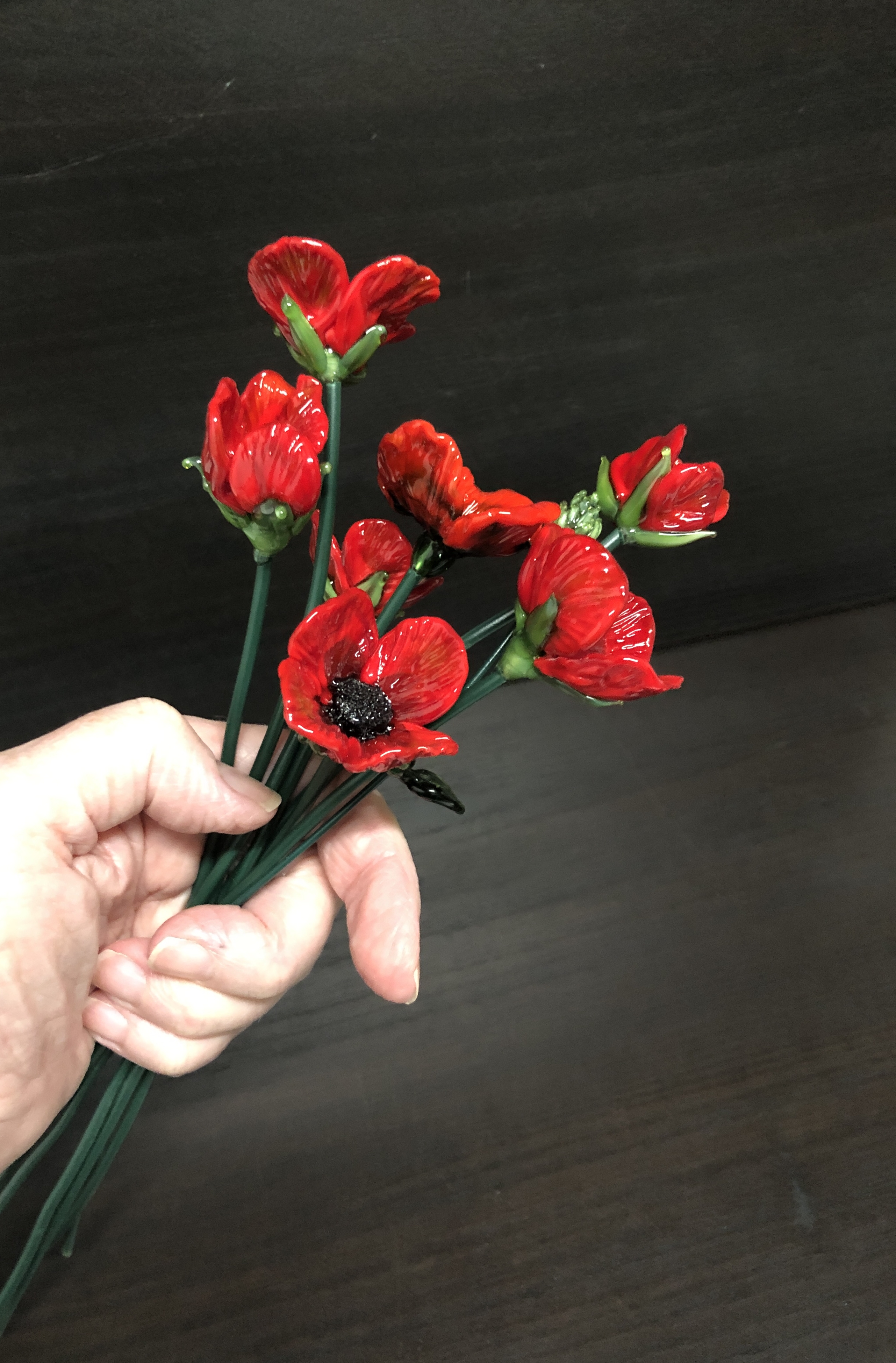 Poppy stems, photo 6